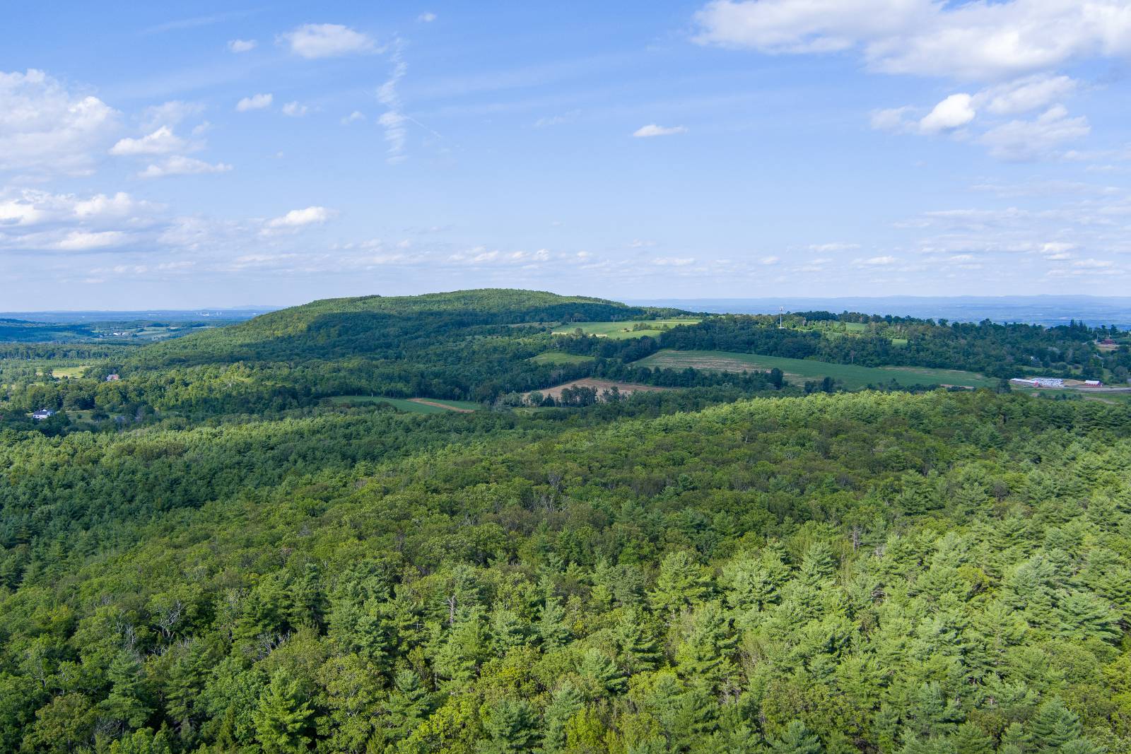 #79 photo, 446 Copeland Hill Rd, Coeymans Hollow , NY 12046