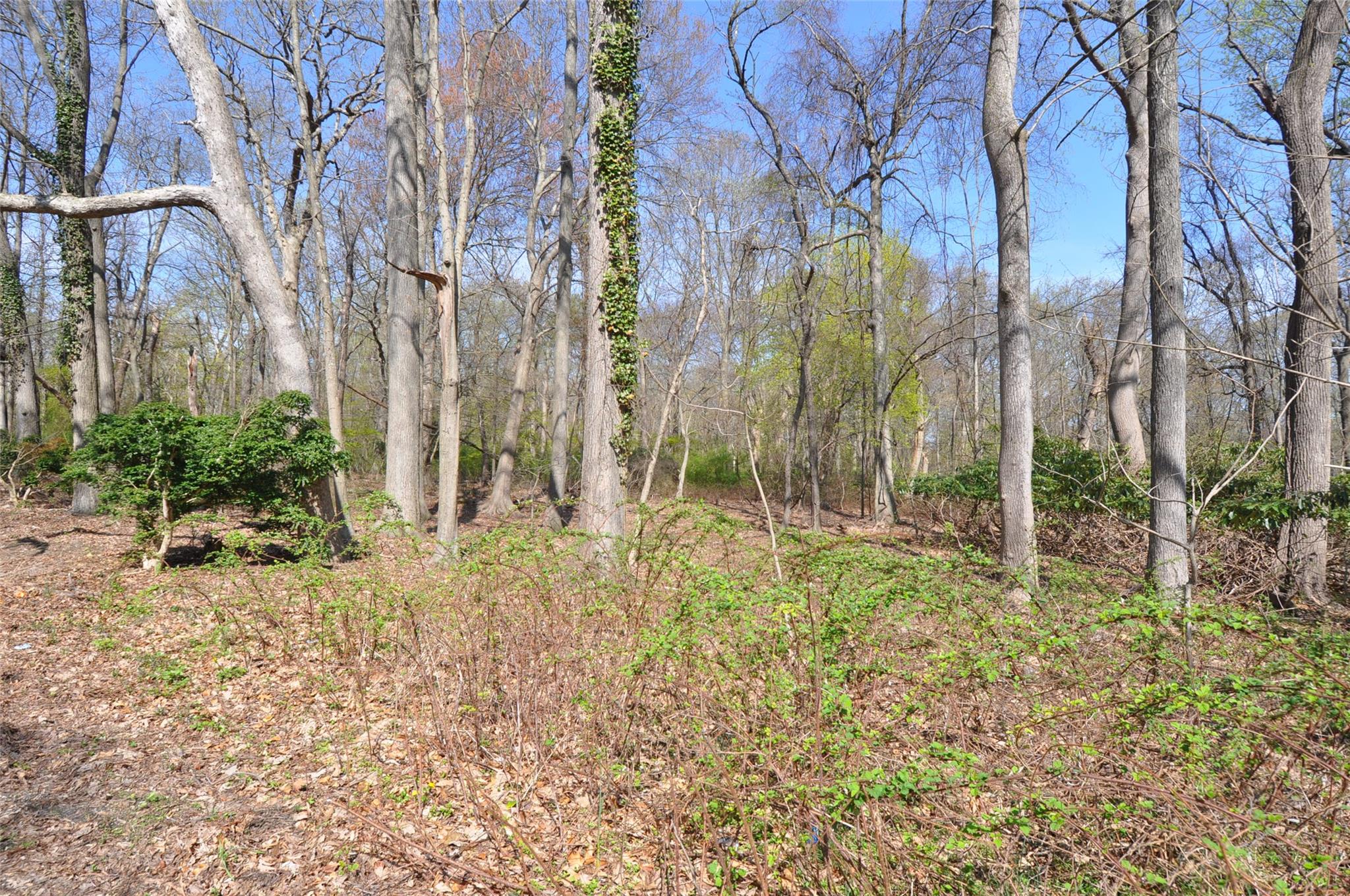 #1 photo, Virginia Street, サフォーク郡 Miller Place , NY 11764