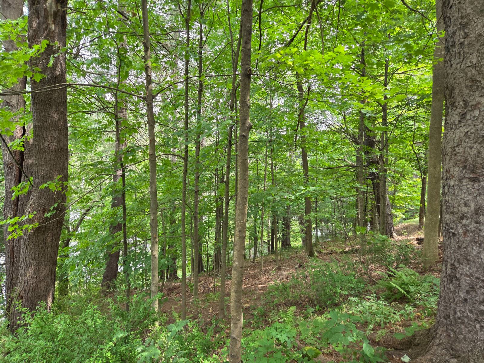 #27 photo, 46 Ellsworth Avenue, Fleischmanns , NY 12430