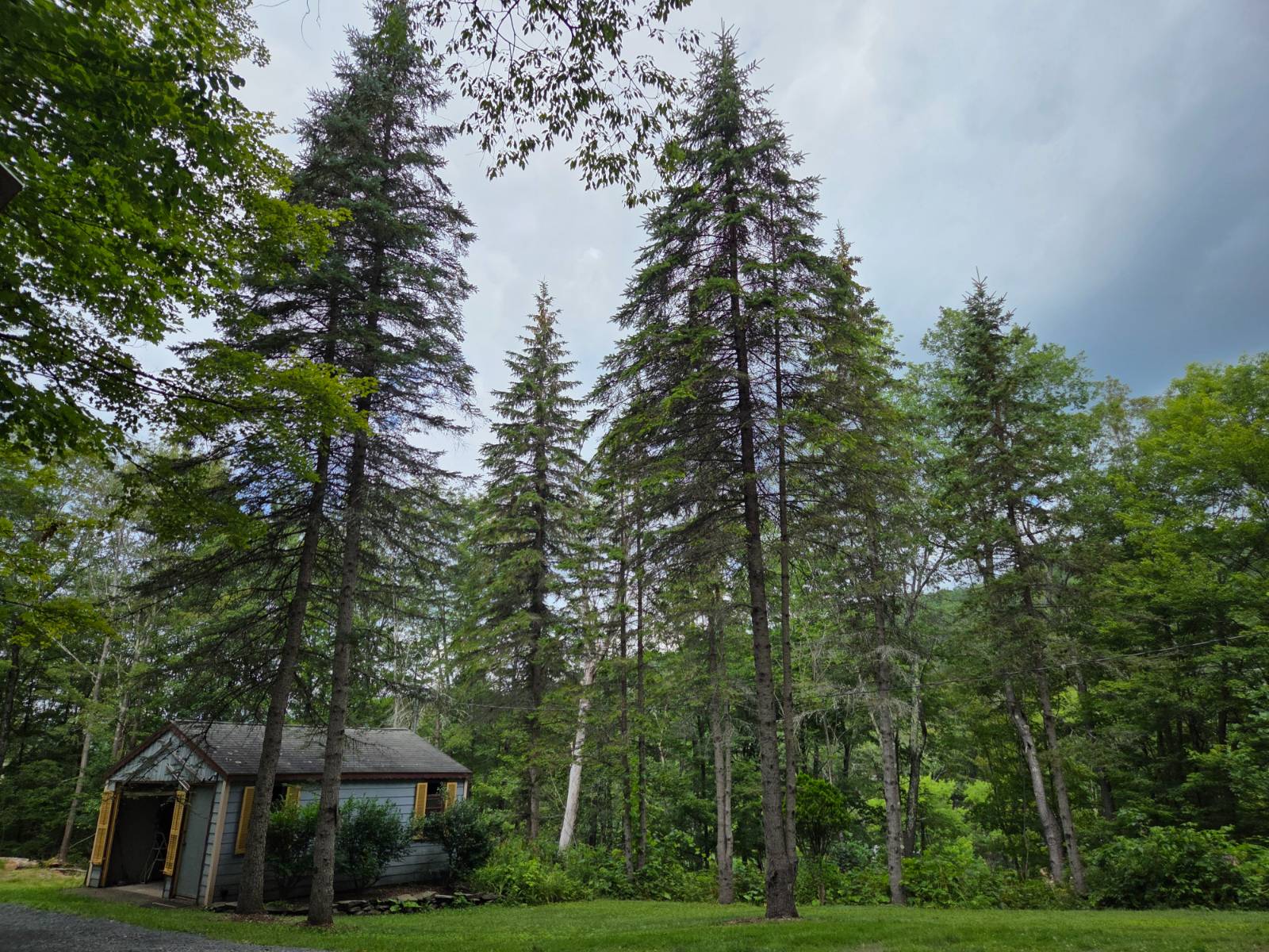 #30 photo, 46 Ellsworth Avenue, Fleischmanns , NY 12430