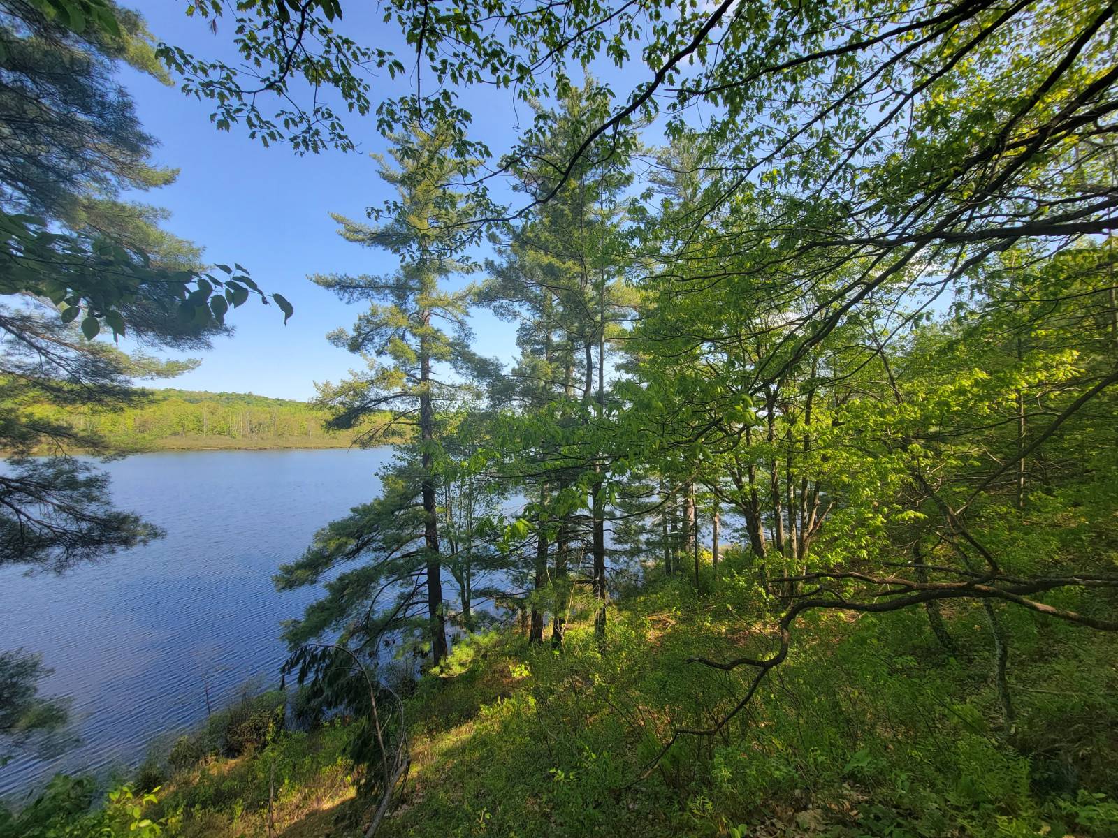 #1 photo, 00 Maple Ridge Rd, DeKalb Junction , NY 13642