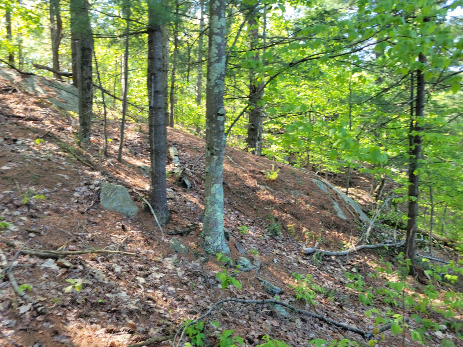 #10 photo, 00 Maple Ridge Rd, DeKalb Junction , NY 13642