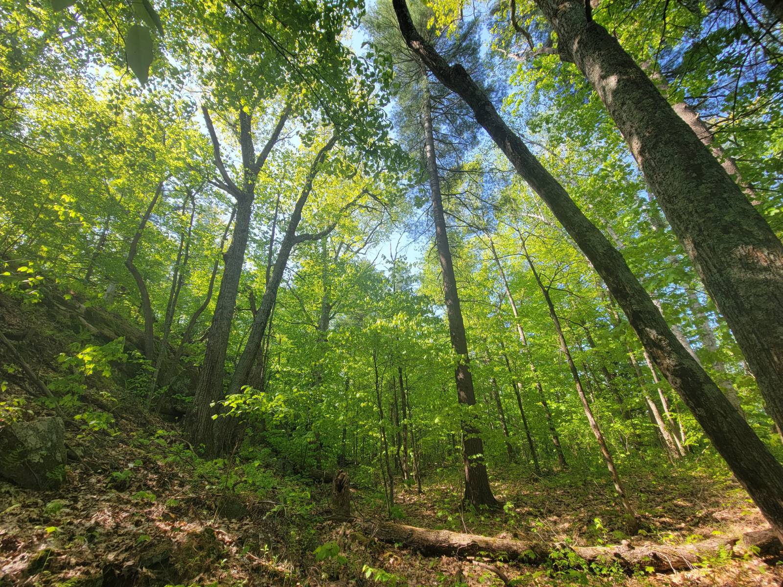 #11 photo, 00 Maple Ridge Rd, DeKalb Junction , NY 13642