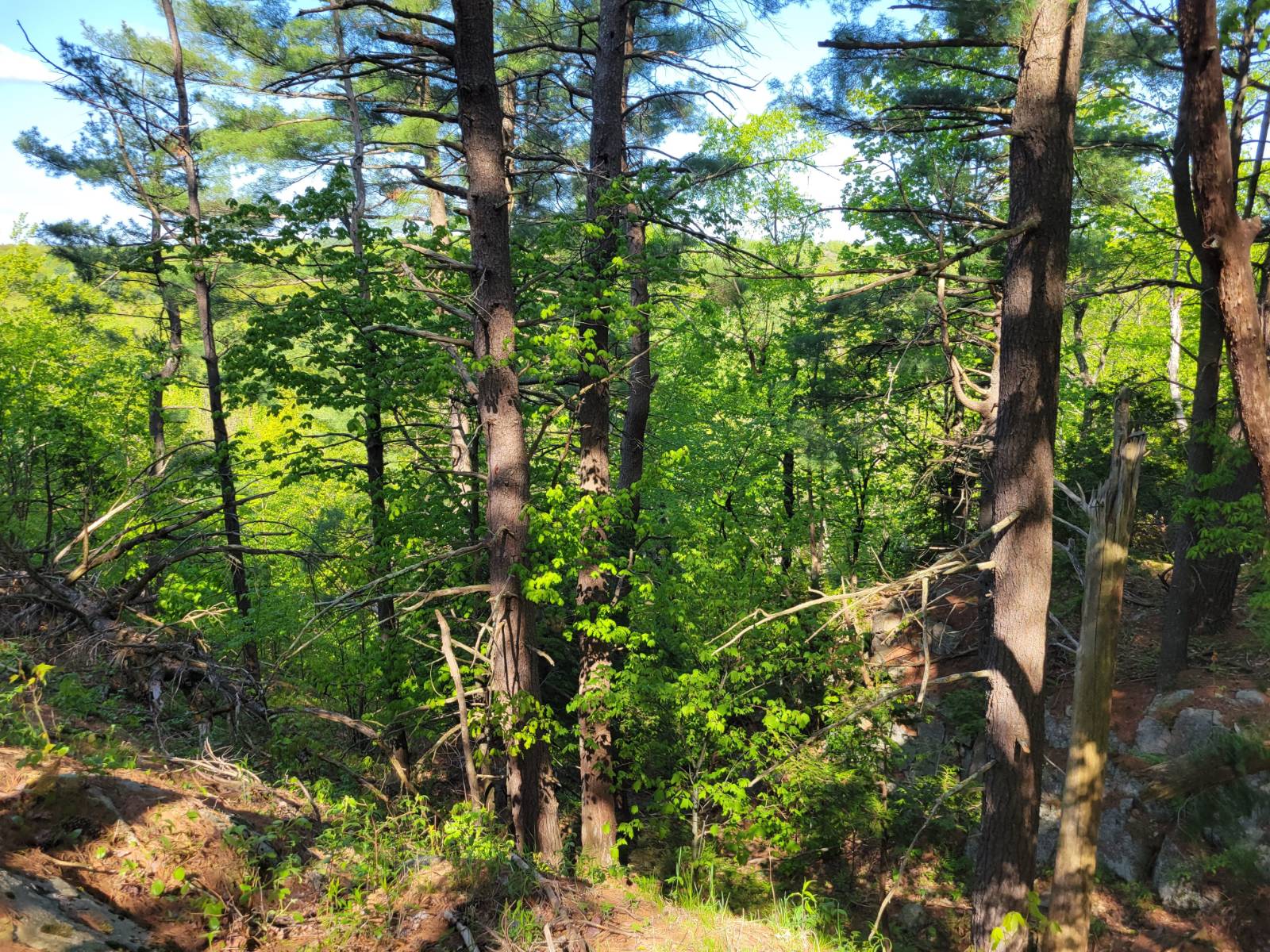 #13 photo, 00 Maple Ridge Rd, DeKalb Junction , NY 13642