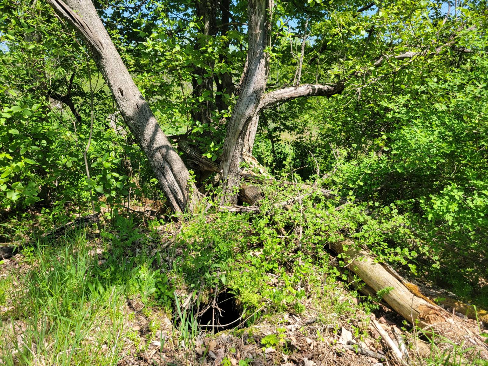 #16 photo, 00 Maple Ridge Rd, DeKalb Junction , NY 13642