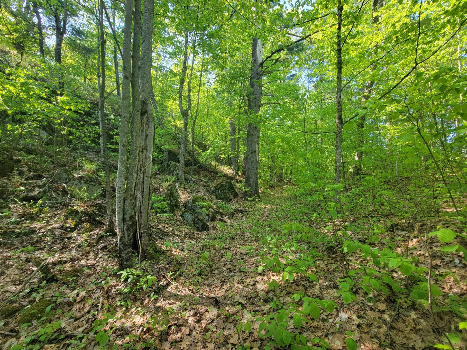 #17 photo, 00 Maple Ridge Rd, DeKalb Junction , NY 13642