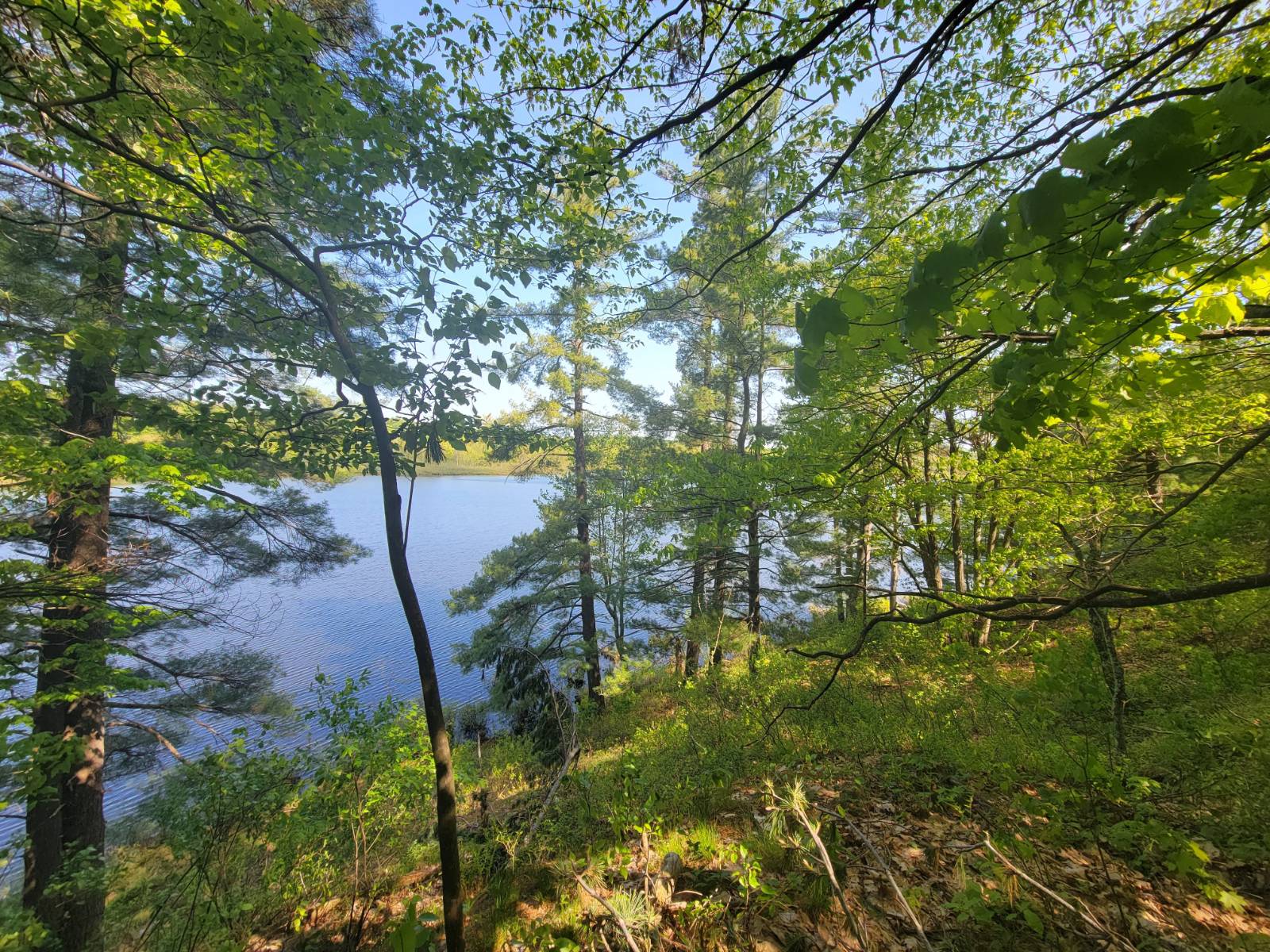 #18 photo, 00 Maple Ridge Rd, DeKalb Junction , NY 13642