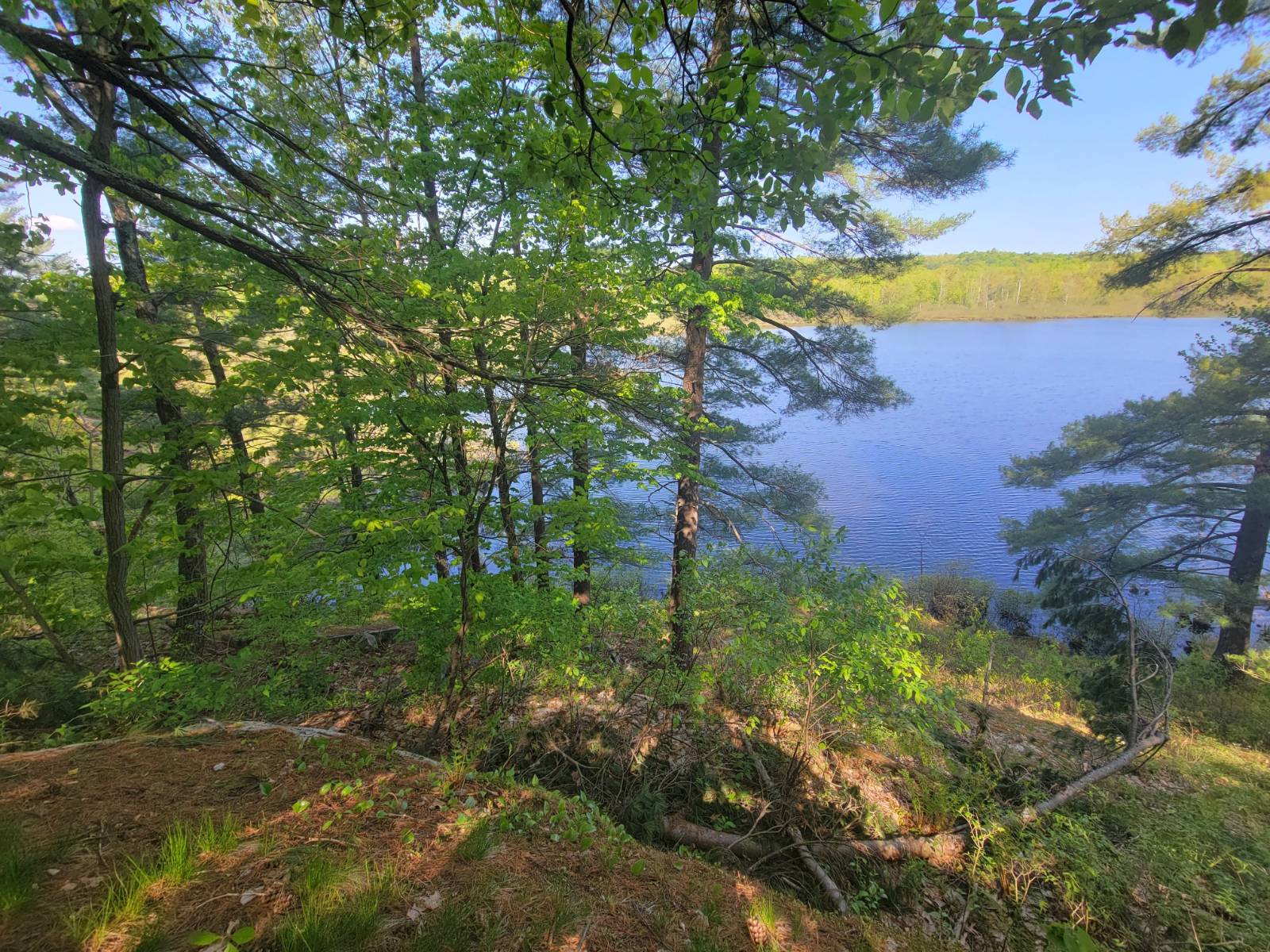 #19 photo, 00 Maple Ridge Rd, DeKalb Junction , NY 13642