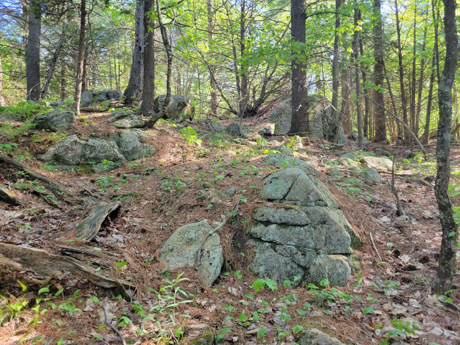 #2 photo, 00 Maple Ridge Rd, DeKalb Junction , NY 13642