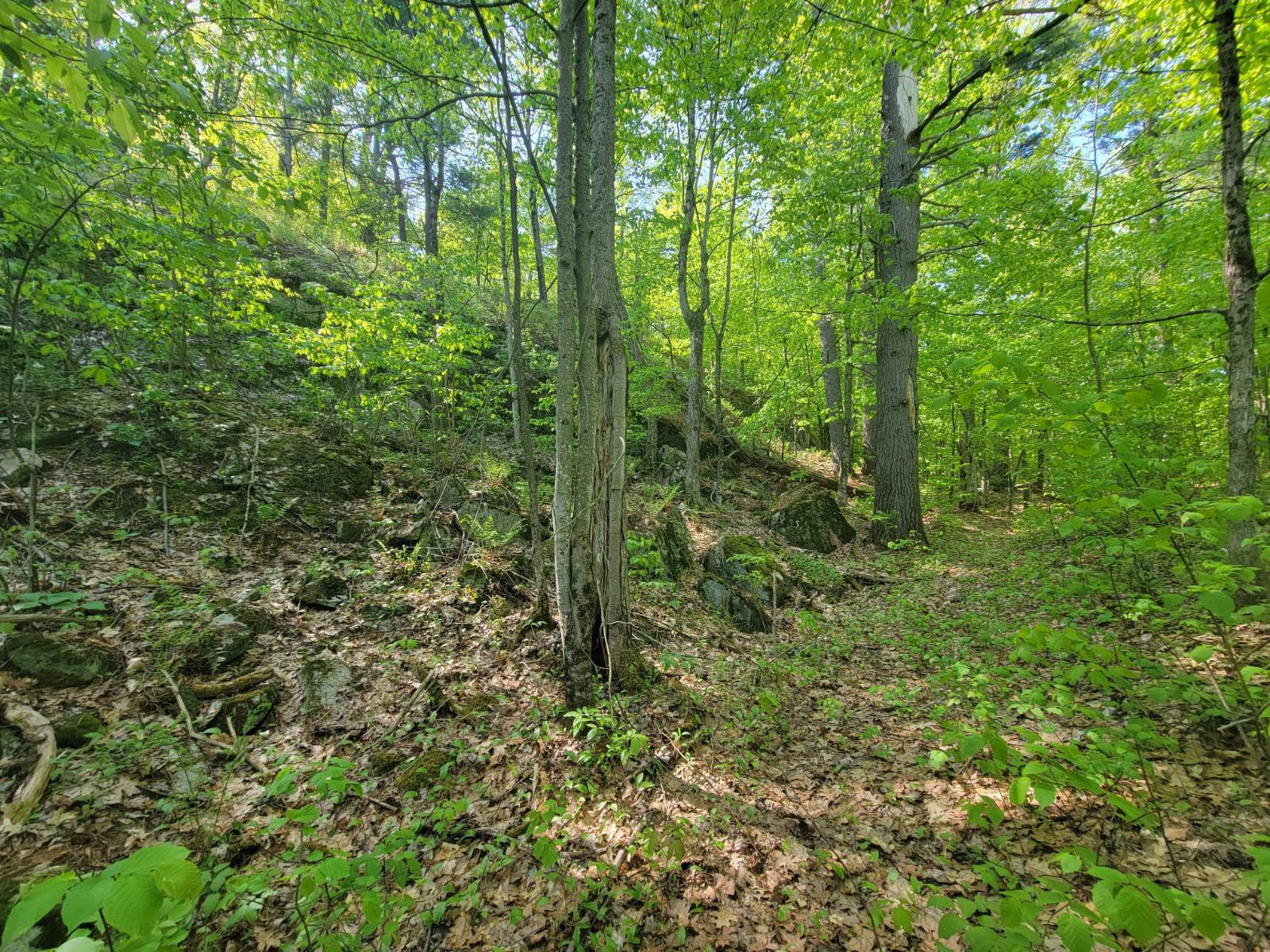 #20 photo, 00 Maple Ridge Rd, DeKalb Junction , NY 13642