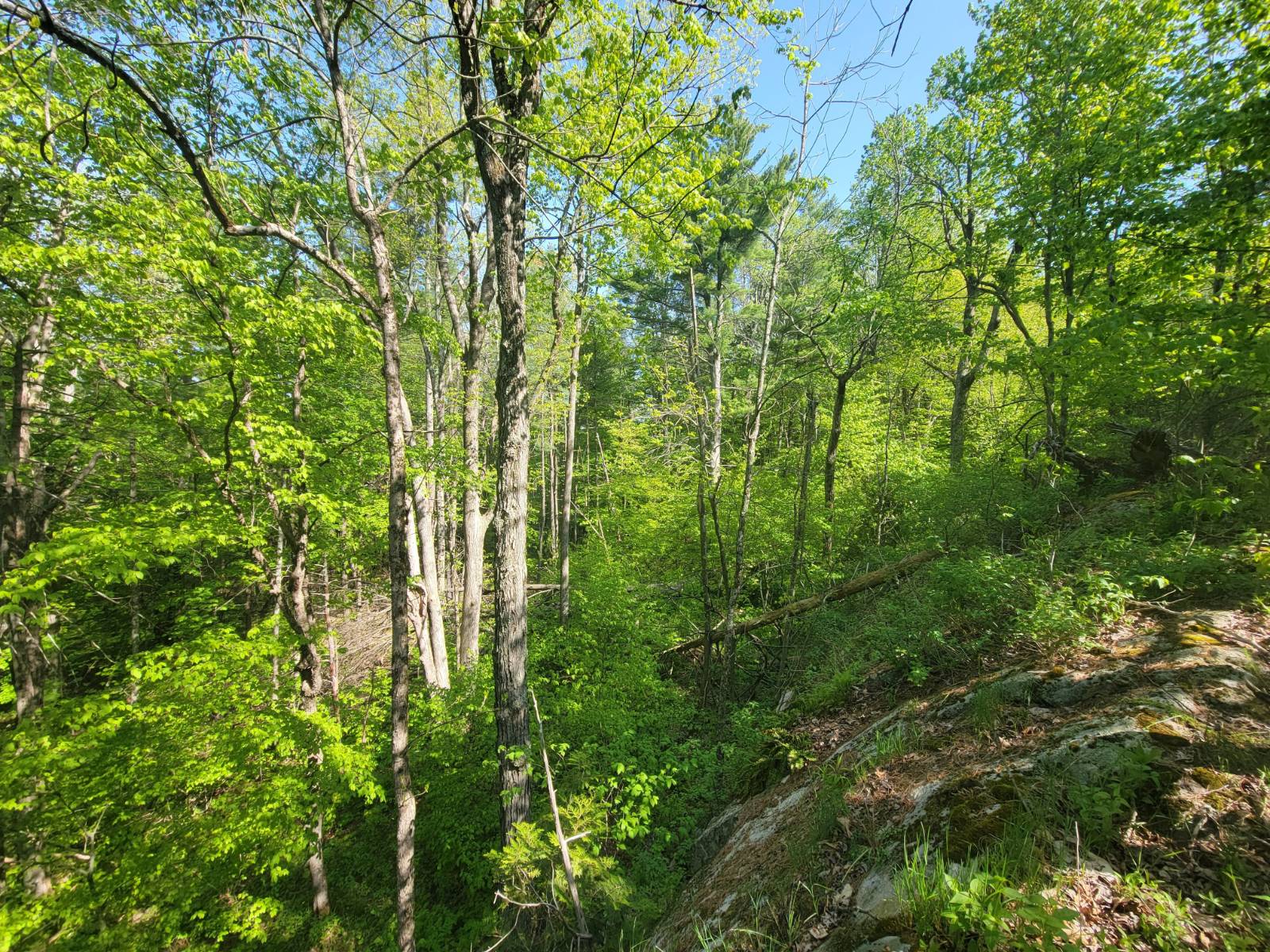 #22 photo, 00 Maple Ridge Rd, DeKalb Junction , NY 13642