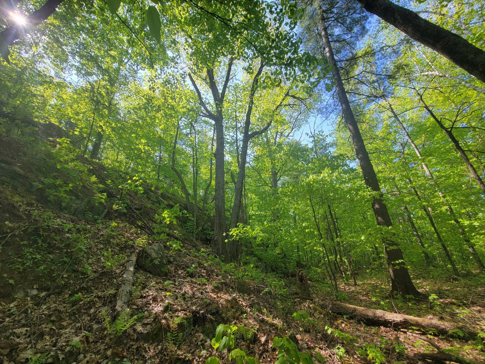 #25 photo, 00 Maple Ridge Rd, DeKalb Junction , NY 13642