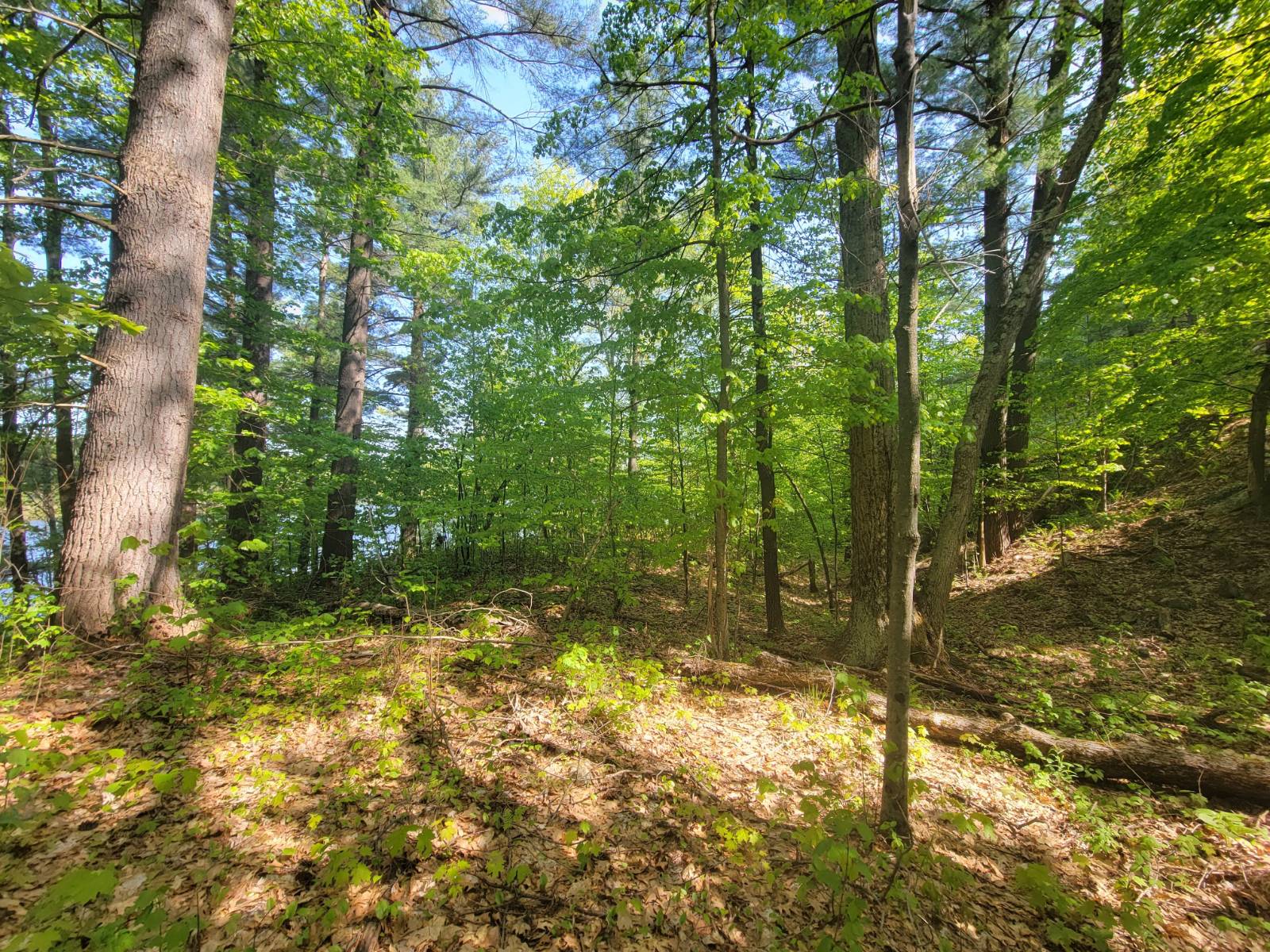 #26 photo, 00 Maple Ridge Rd, DeKalb Junction , NY 13642