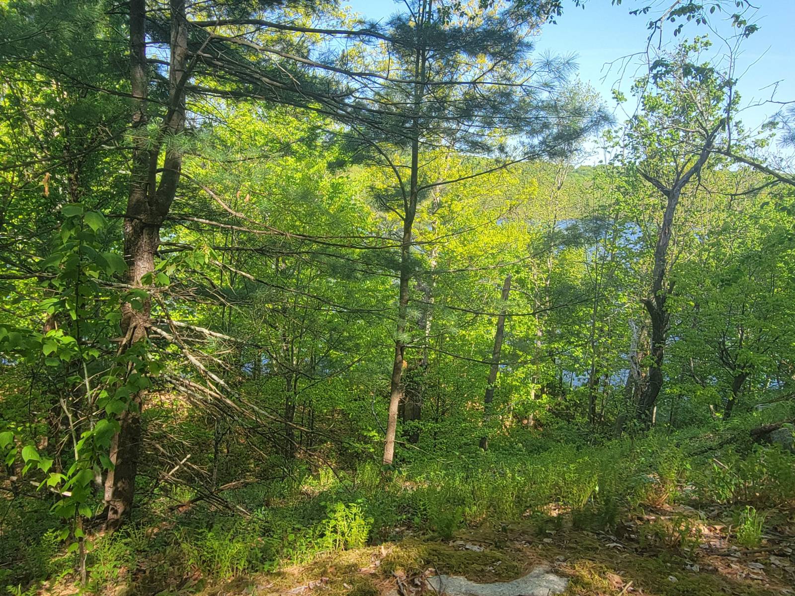 #27 photo, 00 Maple Ridge Rd, DeKalb Junction , NY 13642