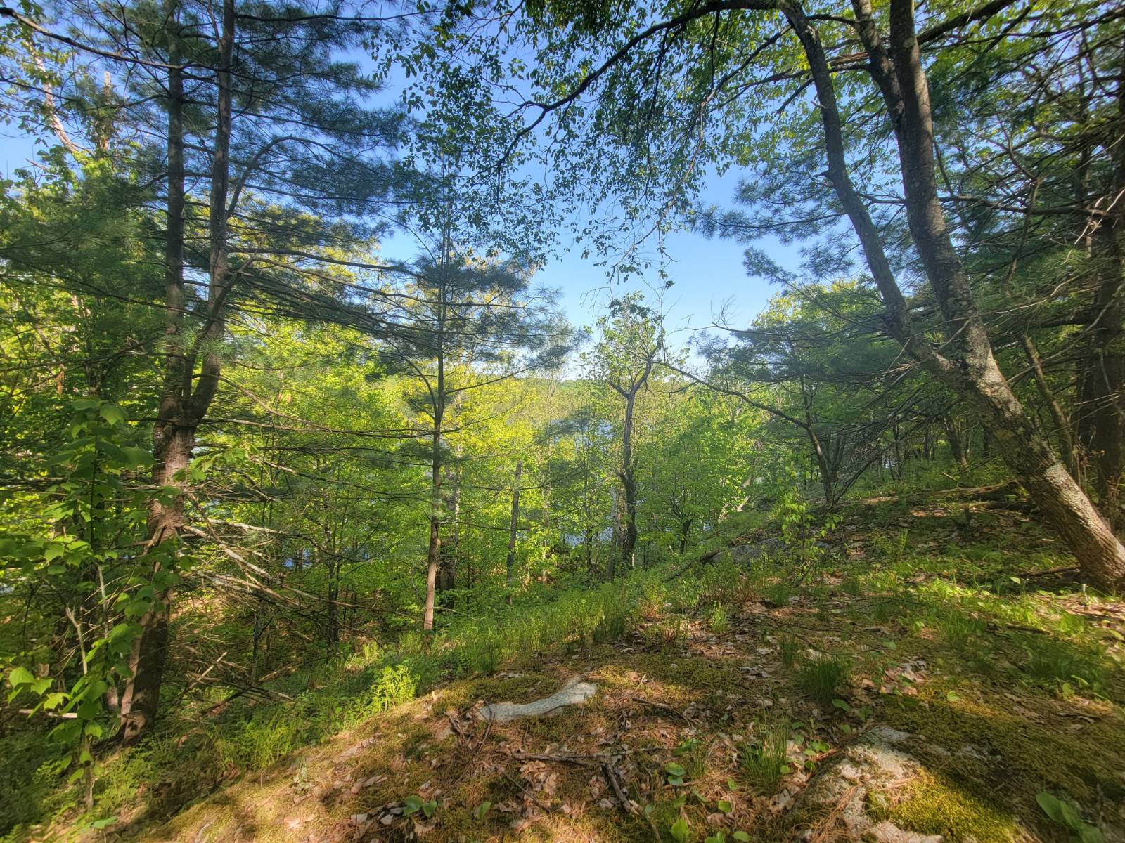 #30 photo, 00 Maple Ridge Rd, DeKalb Junction , NY 13642