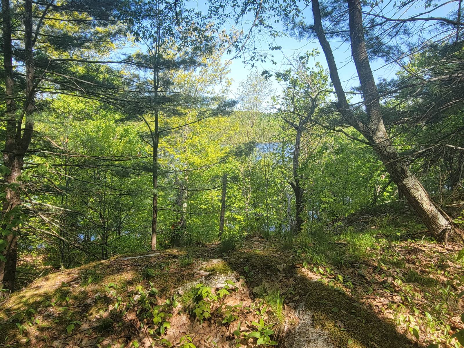 #32 photo, 00 Maple Ridge Rd, DeKalb Junction , NY 13642