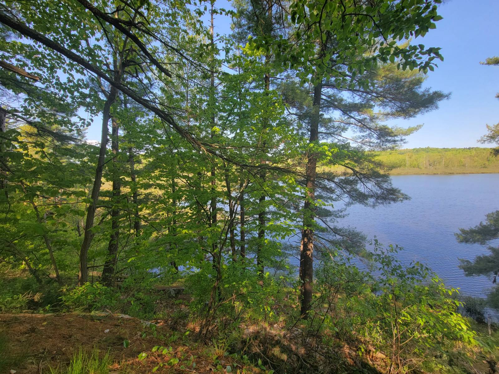 #33 photo, 00 Maple Ridge Rd, DeKalb Junction , NY 13642