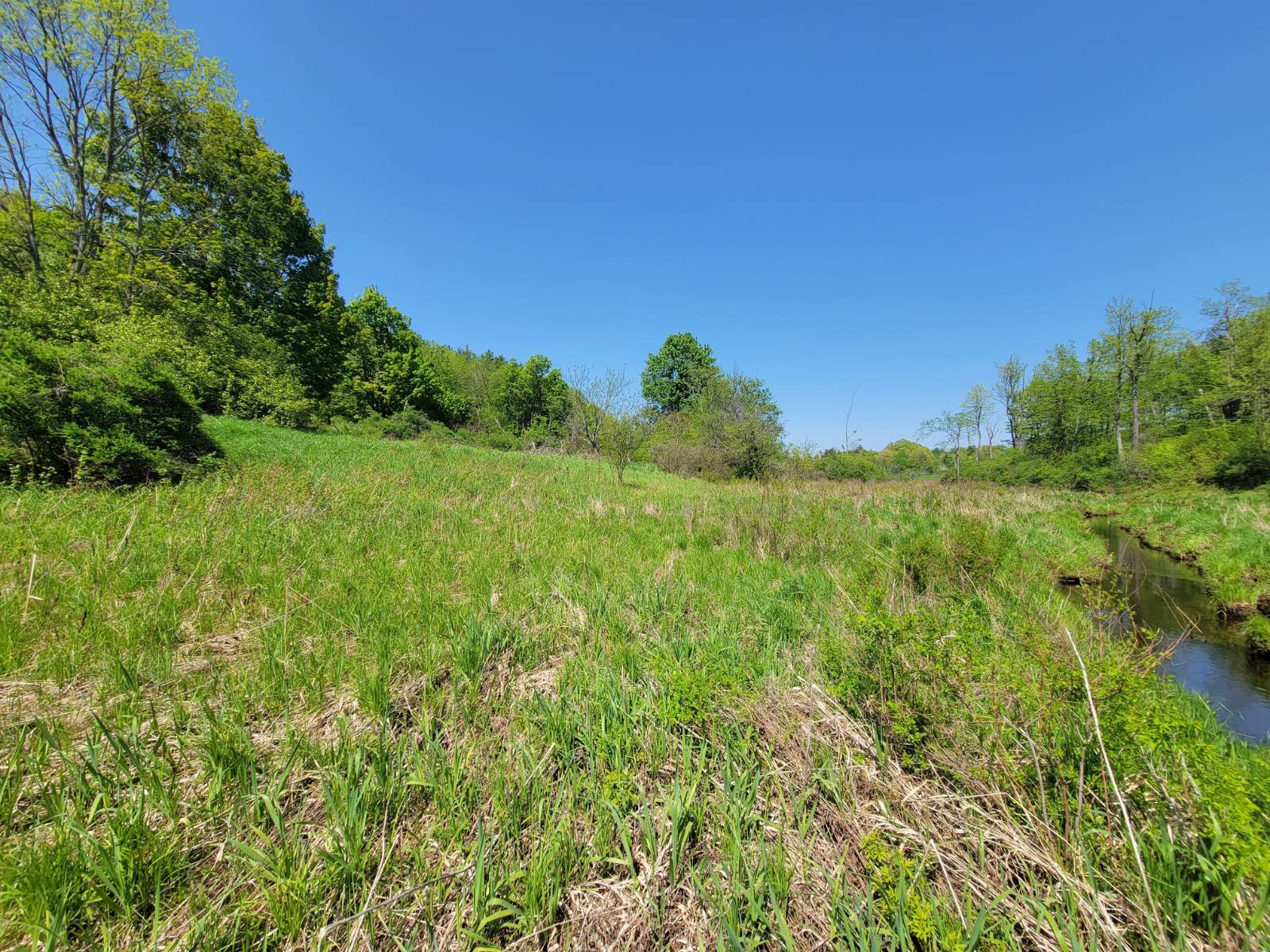 #34 photo, 00 Maple Ridge Rd, DeKalb Junction , NY 13642