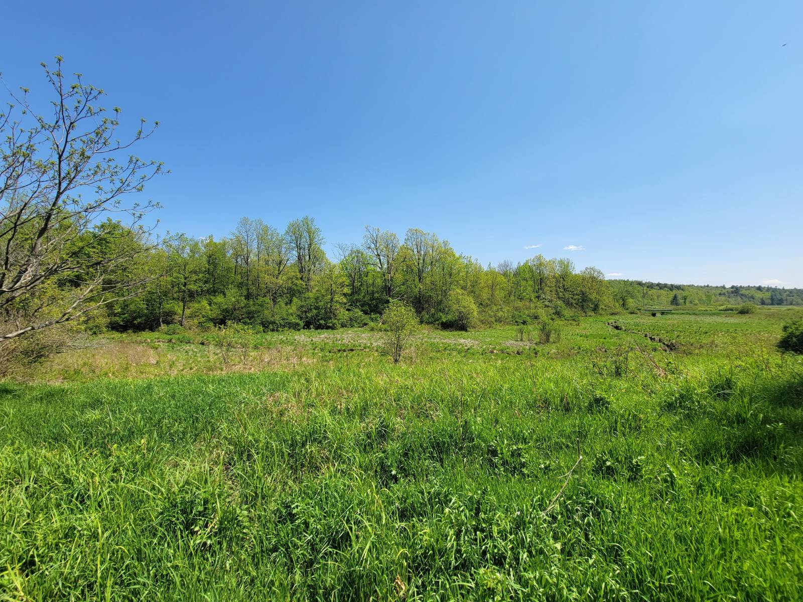 #37 photo, 00 Maple Ridge Rd, DeKalb Junction , NY 13642