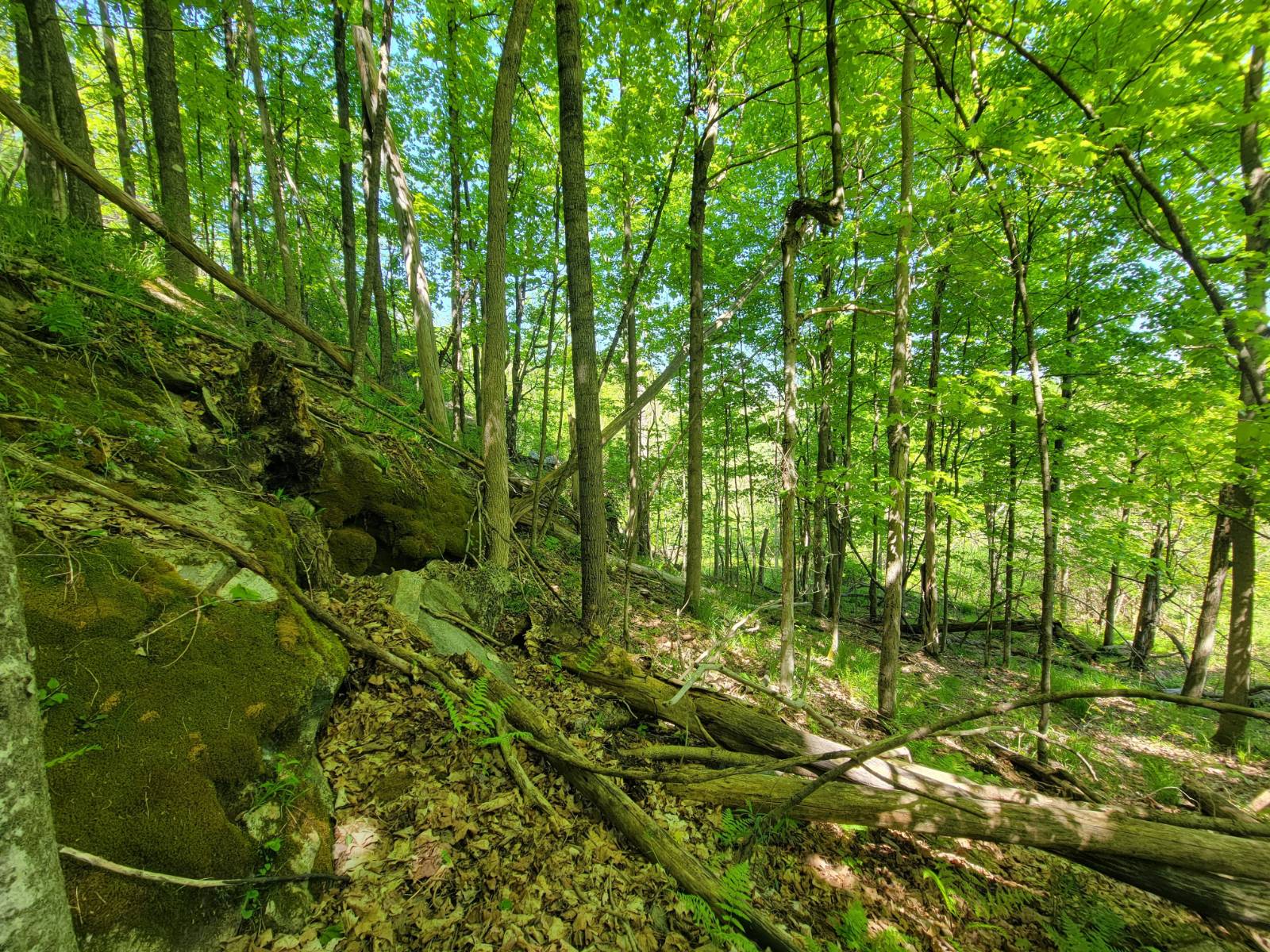 #39 photo, 00 Maple Ridge Rd, DeKalb Junction , NY 13642