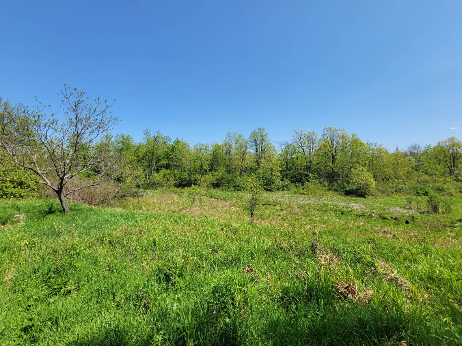 #4 photo, 00 Maple Ridge Rd, DeKalb Junction , NY 13642