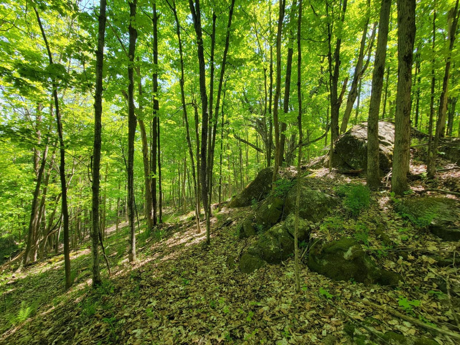 #40 photo, 00 Maple Ridge Rd, DeKalb Junction , NY 13642