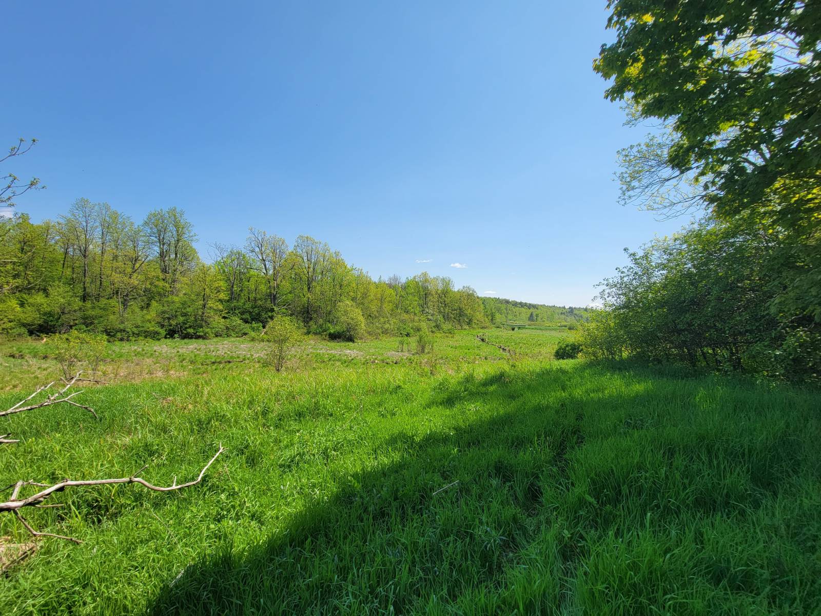 #41 photo, 00 Maple Ridge Rd, DeKalb Junction , NY 13642