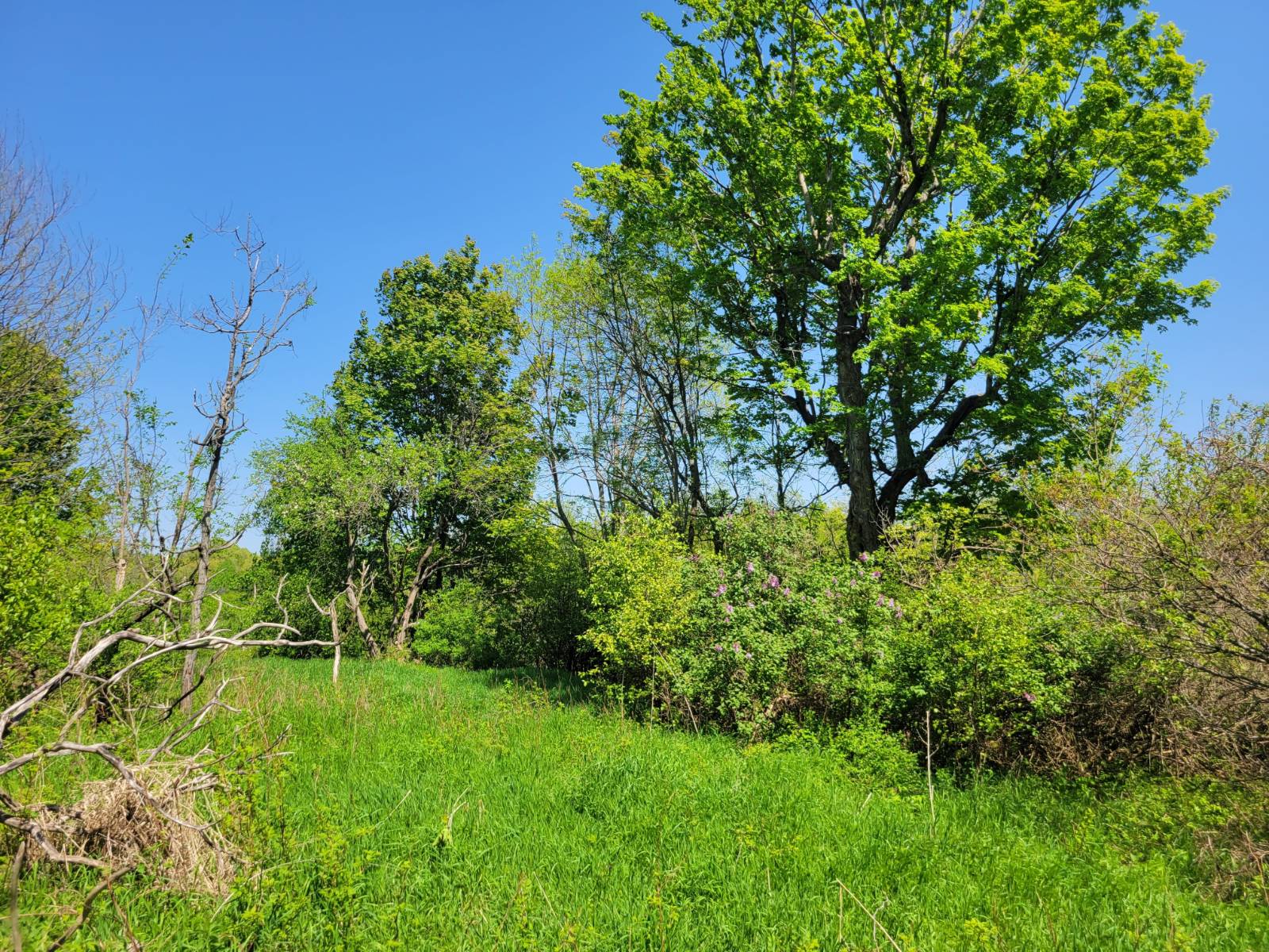 #44 photo, 00 Maple Ridge Rd, DeKalb Junction , NY 13642