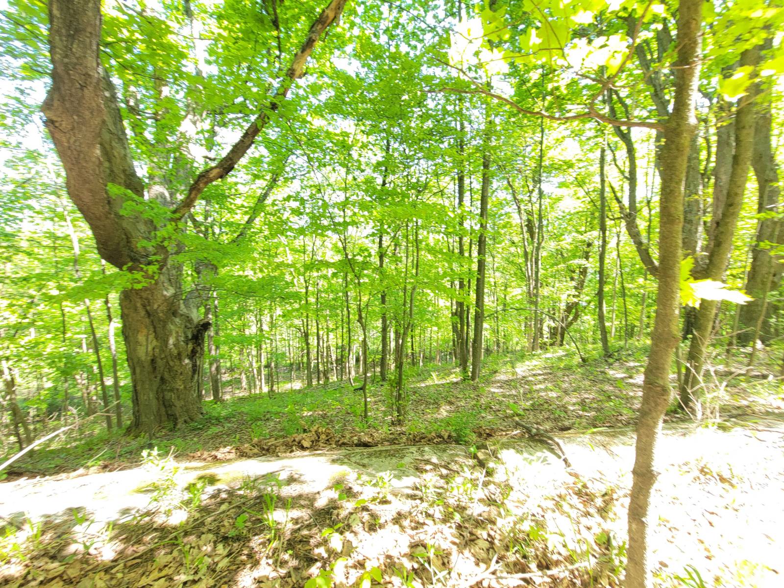 #45 photo, 00 Maple Ridge Rd, DeKalb Junction , NY 13642