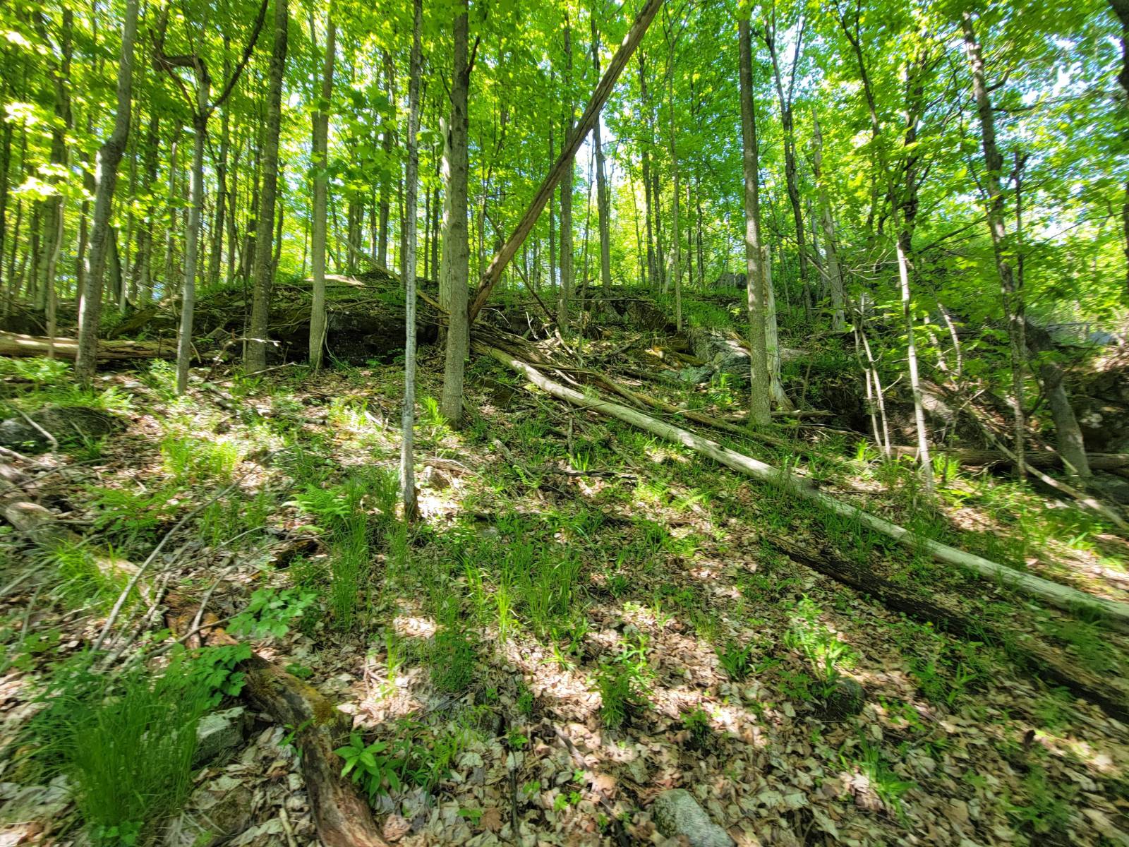 #48 photo, 00 Maple Ridge Rd, DeKalb Junction , NY 13642