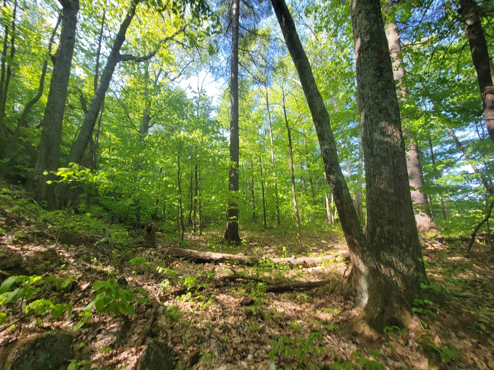 #5 photo, 00 Maple Ridge Rd, DeKalb Junction , NY 13642