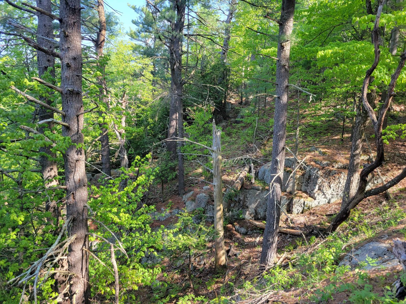 #8 photo, 00 Maple Ridge Rd, DeKalb Junction , NY 13642