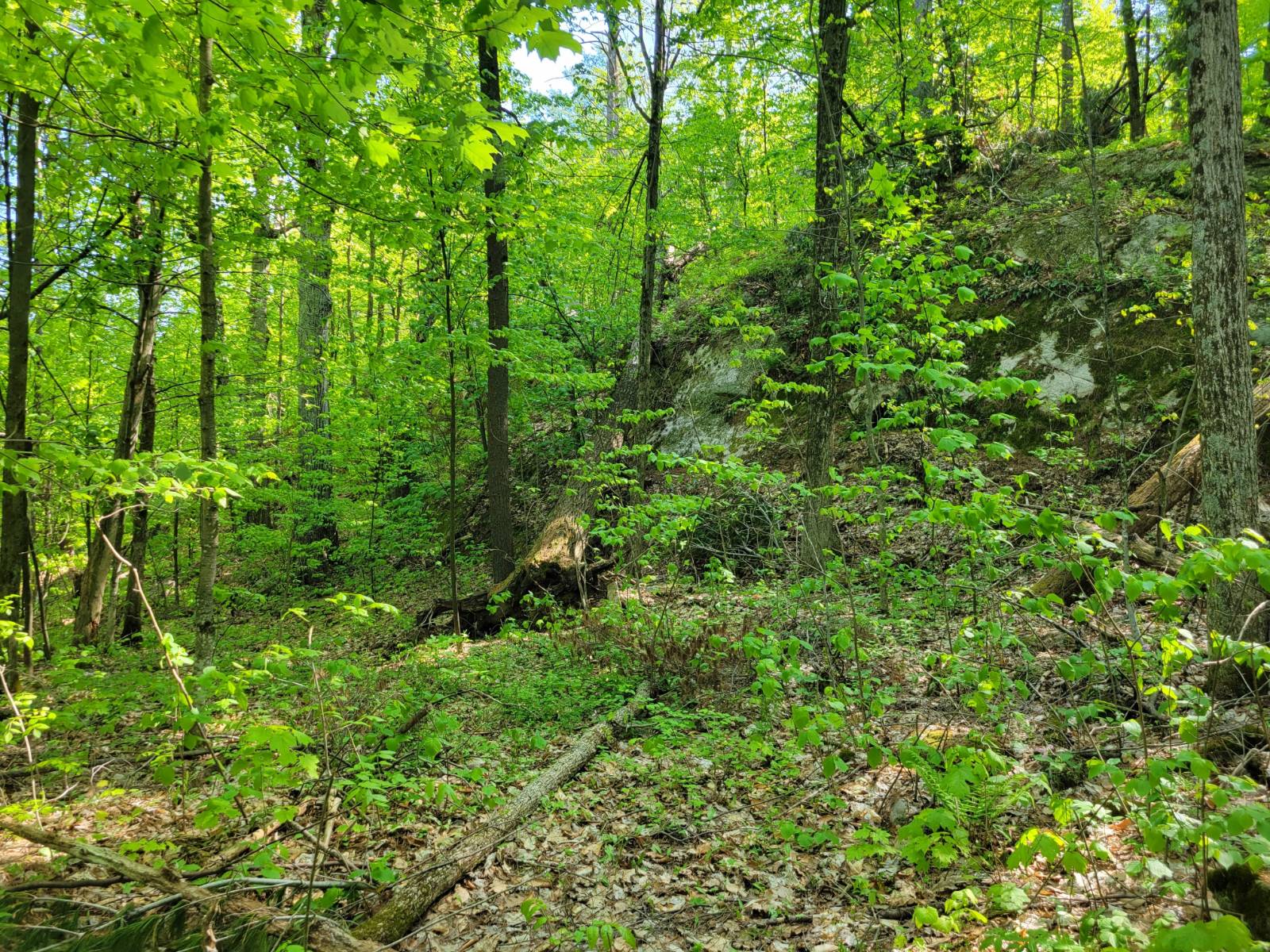 #9 photo, 00 Maple Ridge Rd, DeKalb Junction , NY 13642