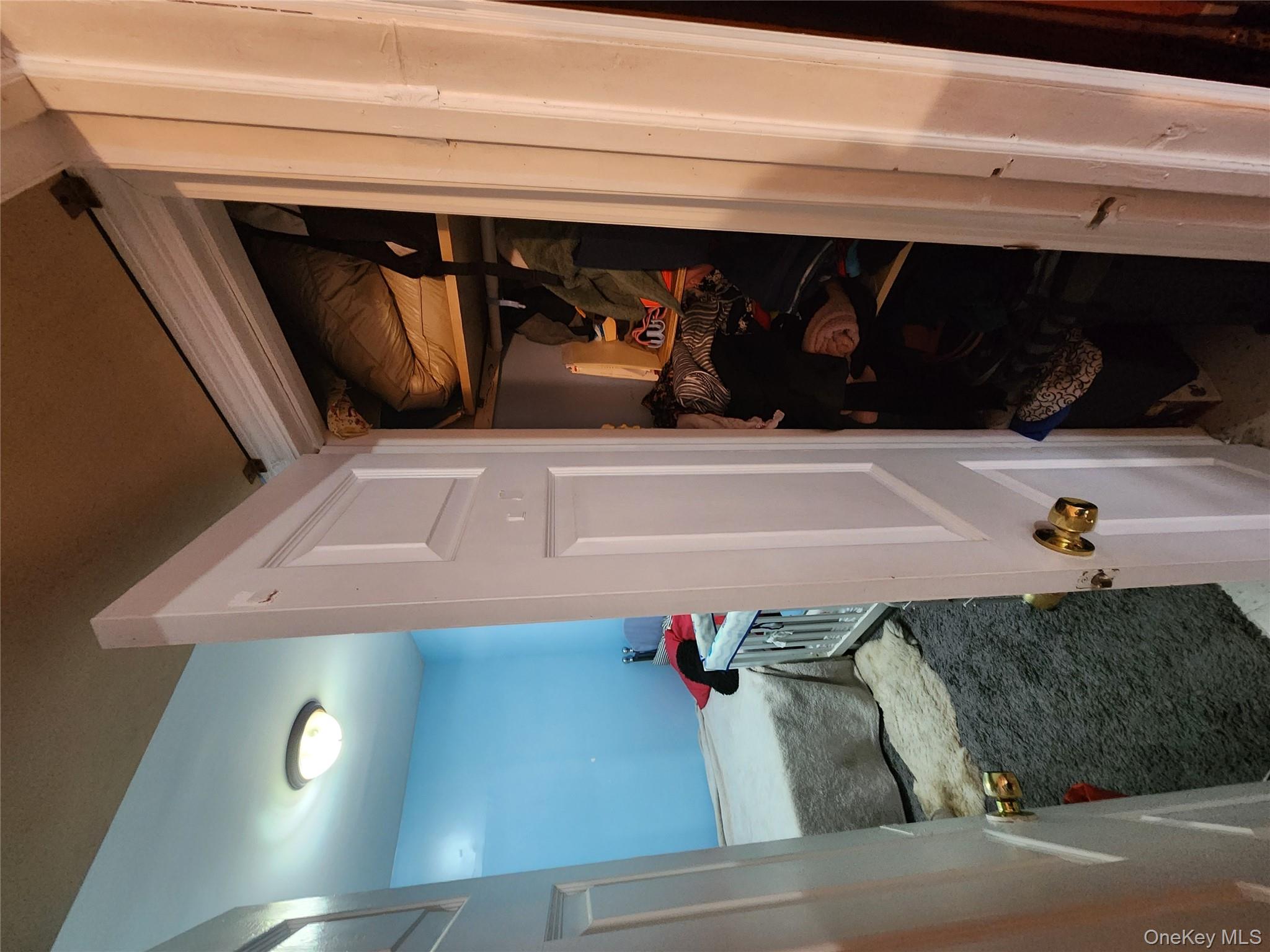 #16 photo, 568 Drew Street, 브루클린 Brooklyn , NY 11208