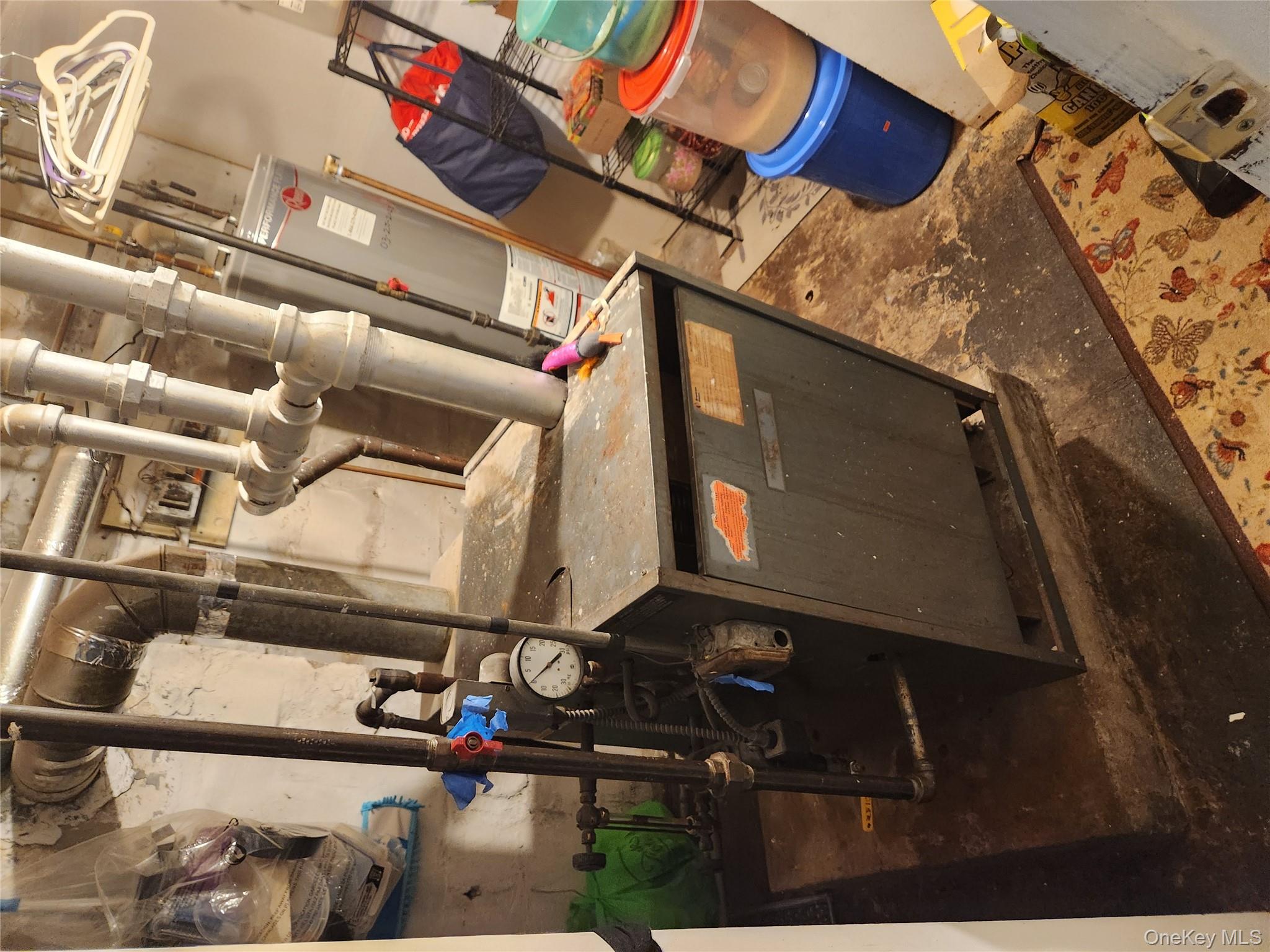 #7 photo, 568 Drew Street, 브루클린 Brooklyn , NY 11208