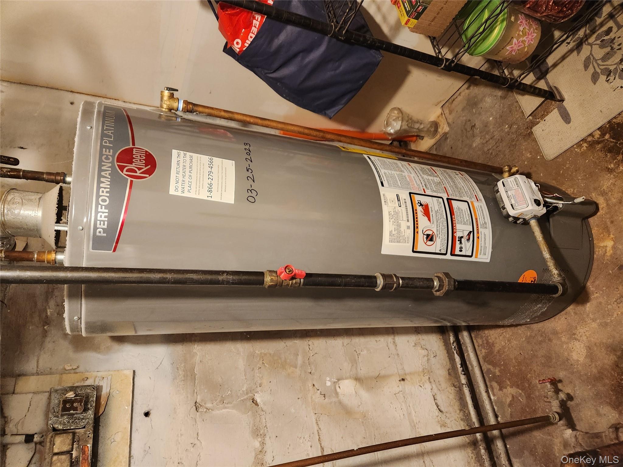 #8 photo, 568 Drew Street, 브루클린 Brooklyn , NY 11208