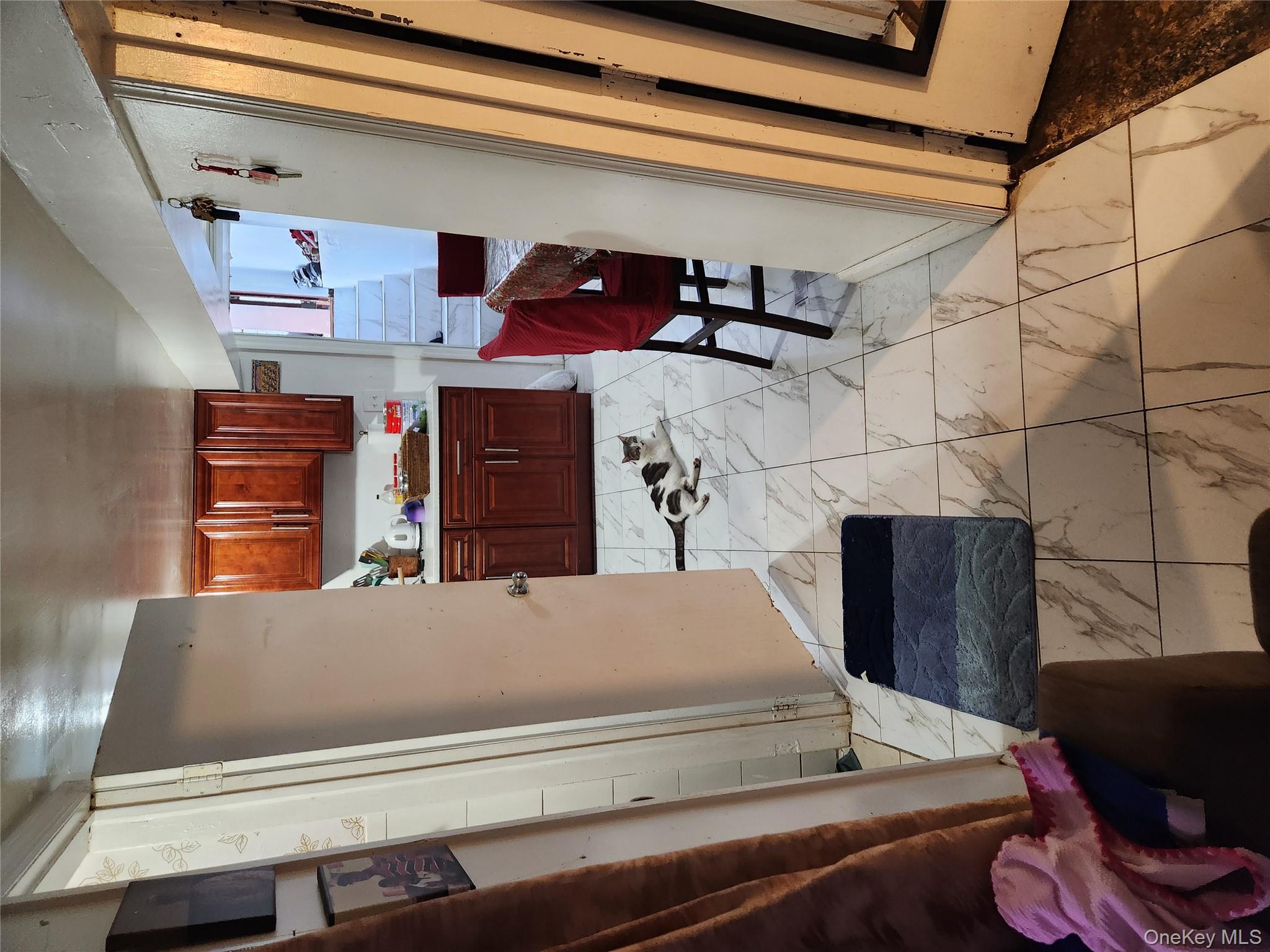 #9 photo, 568 Drew Street, 브루클린 Brooklyn , NY 11208