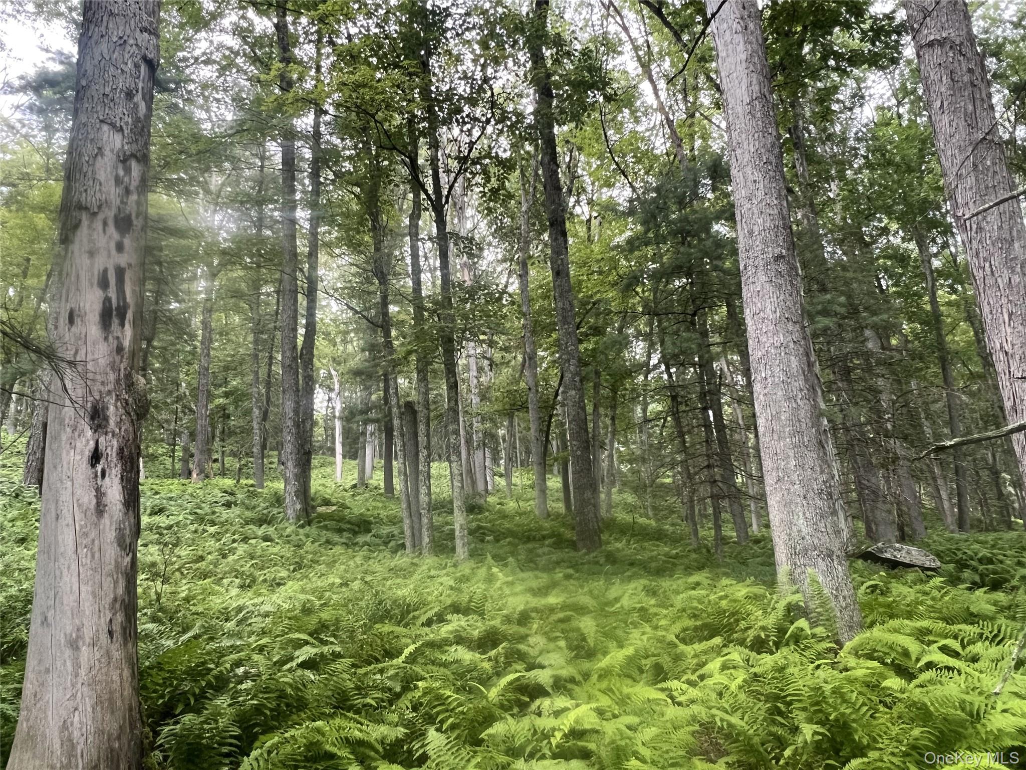 #1 photo, 259 Lackawaxen Road, Narrowsburg , NY 12764