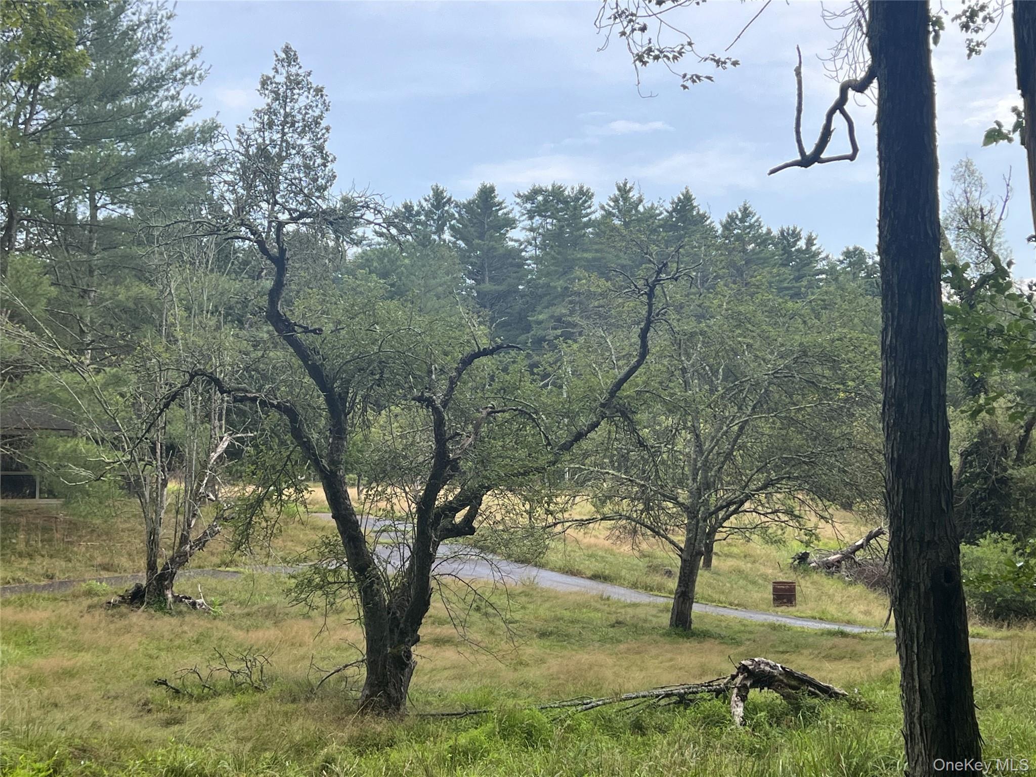 #17 photo, 259 Lackawaxen Road, Narrowsburg , NY 12764