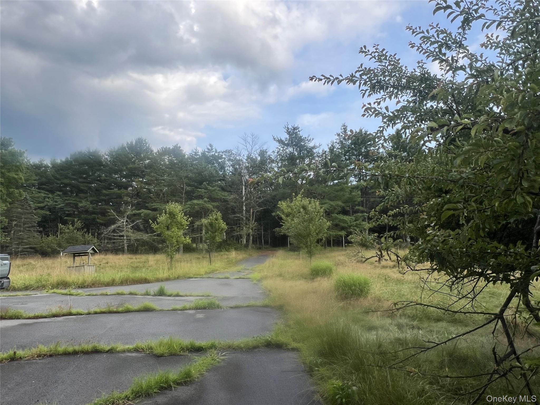 #18 photo, 259 Lackawaxen Road, Narrowsburg , NY 12764