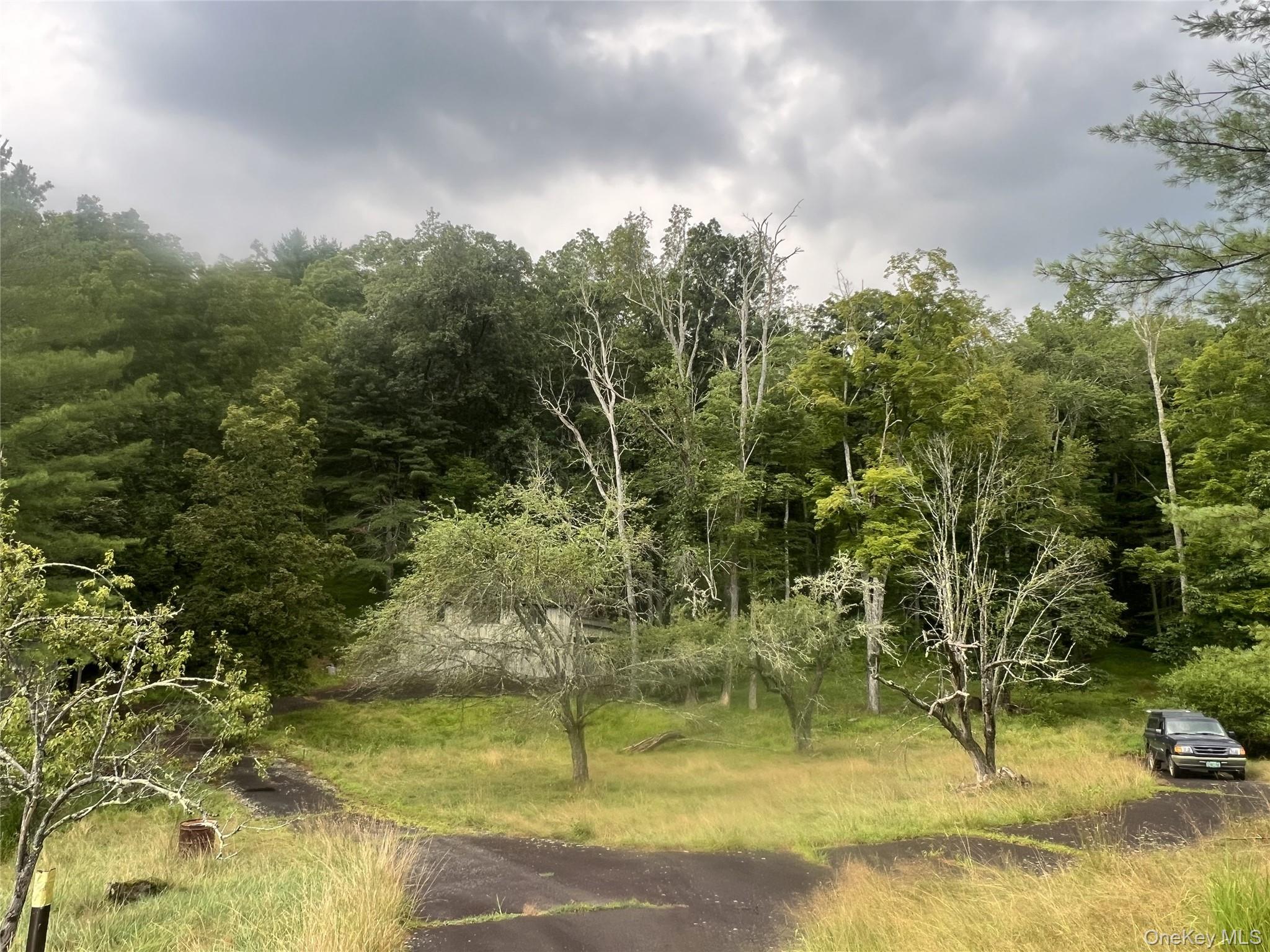 #19 photo, 259 Lackawaxen Road, Narrowsburg , NY 12764