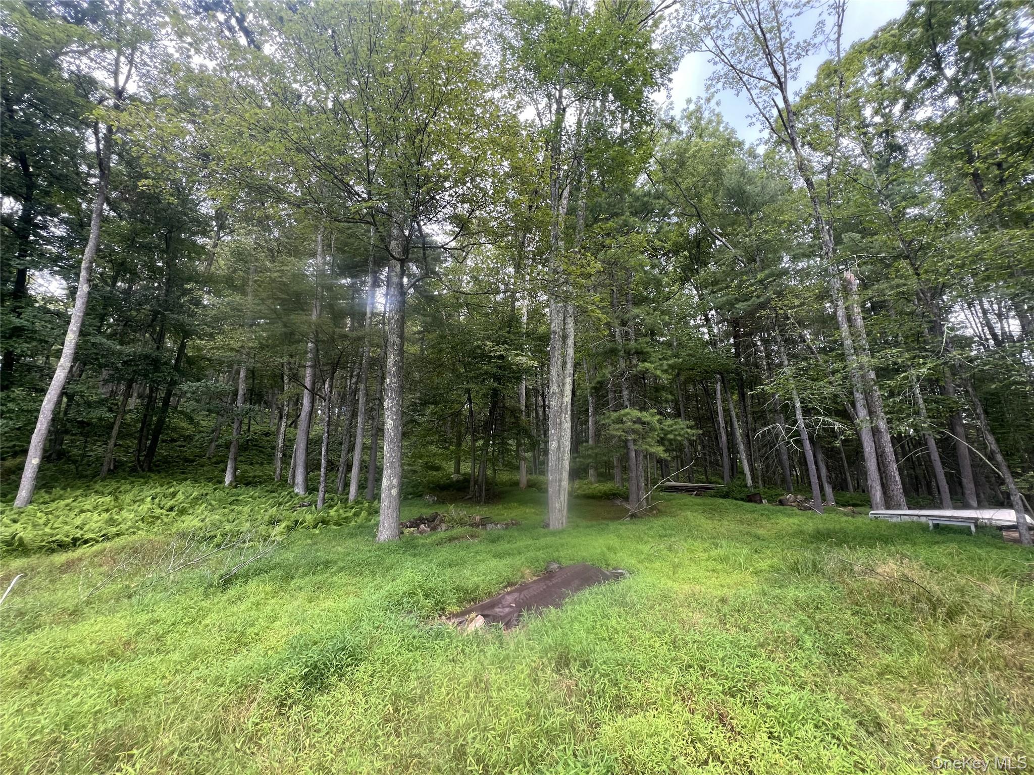 #2 photo, 259 Lackawaxen Road, Narrowsburg , NY 12764