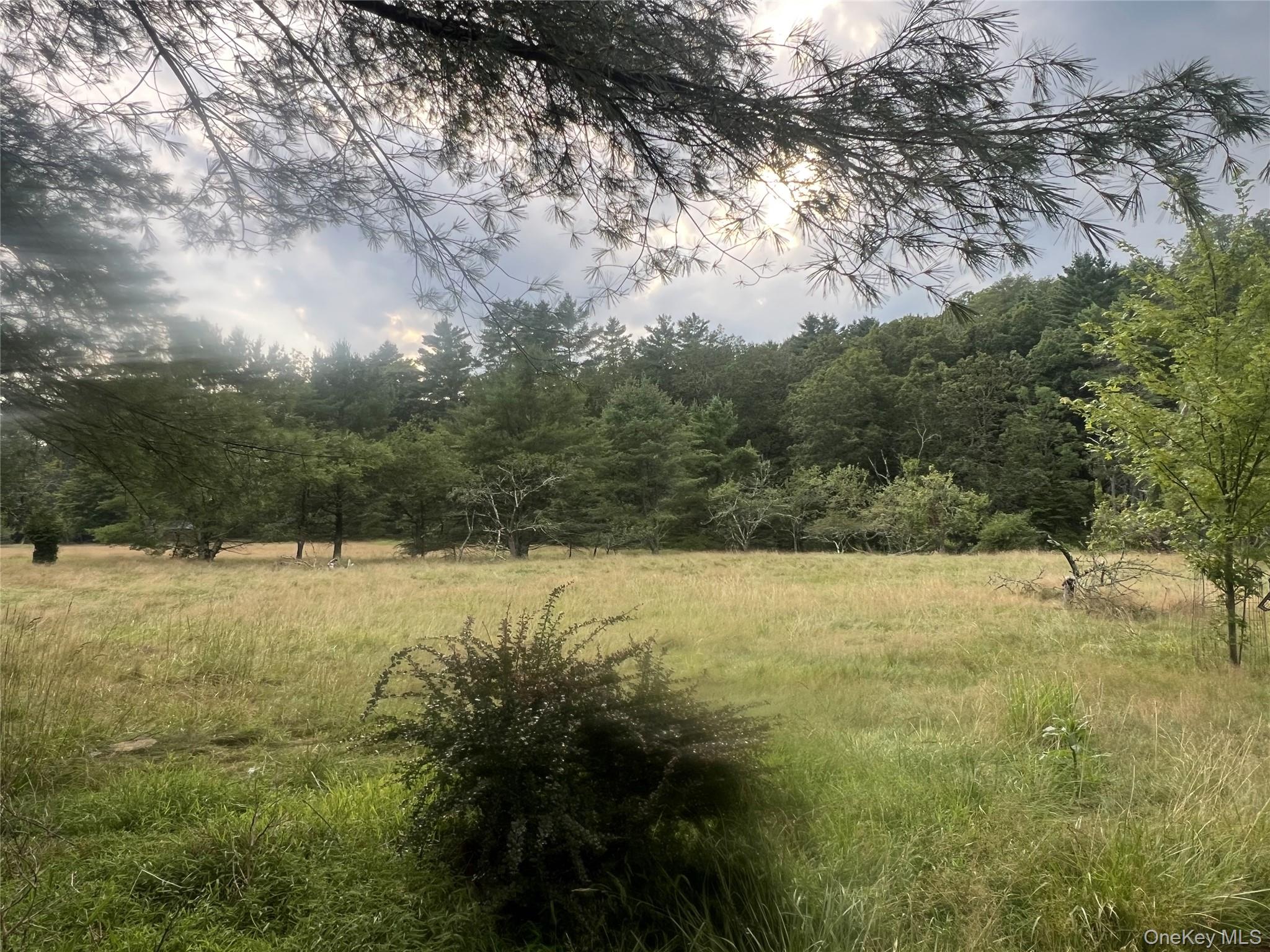 #3 photo, 259 Lackawaxen Road, Narrowsburg , NY 12764