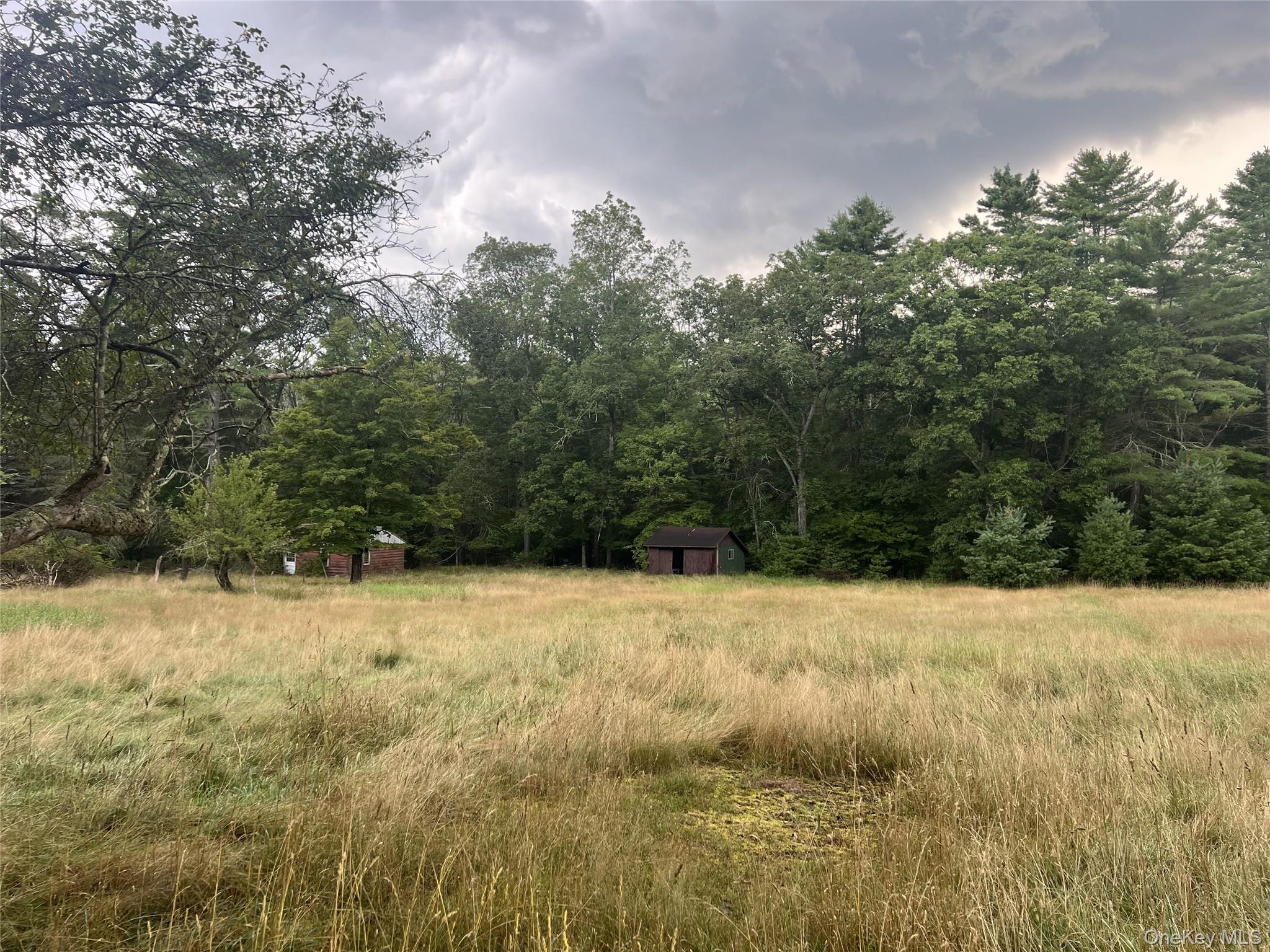 #4 photo, 259 Lackawaxen Road, Narrowsburg , NY 12764