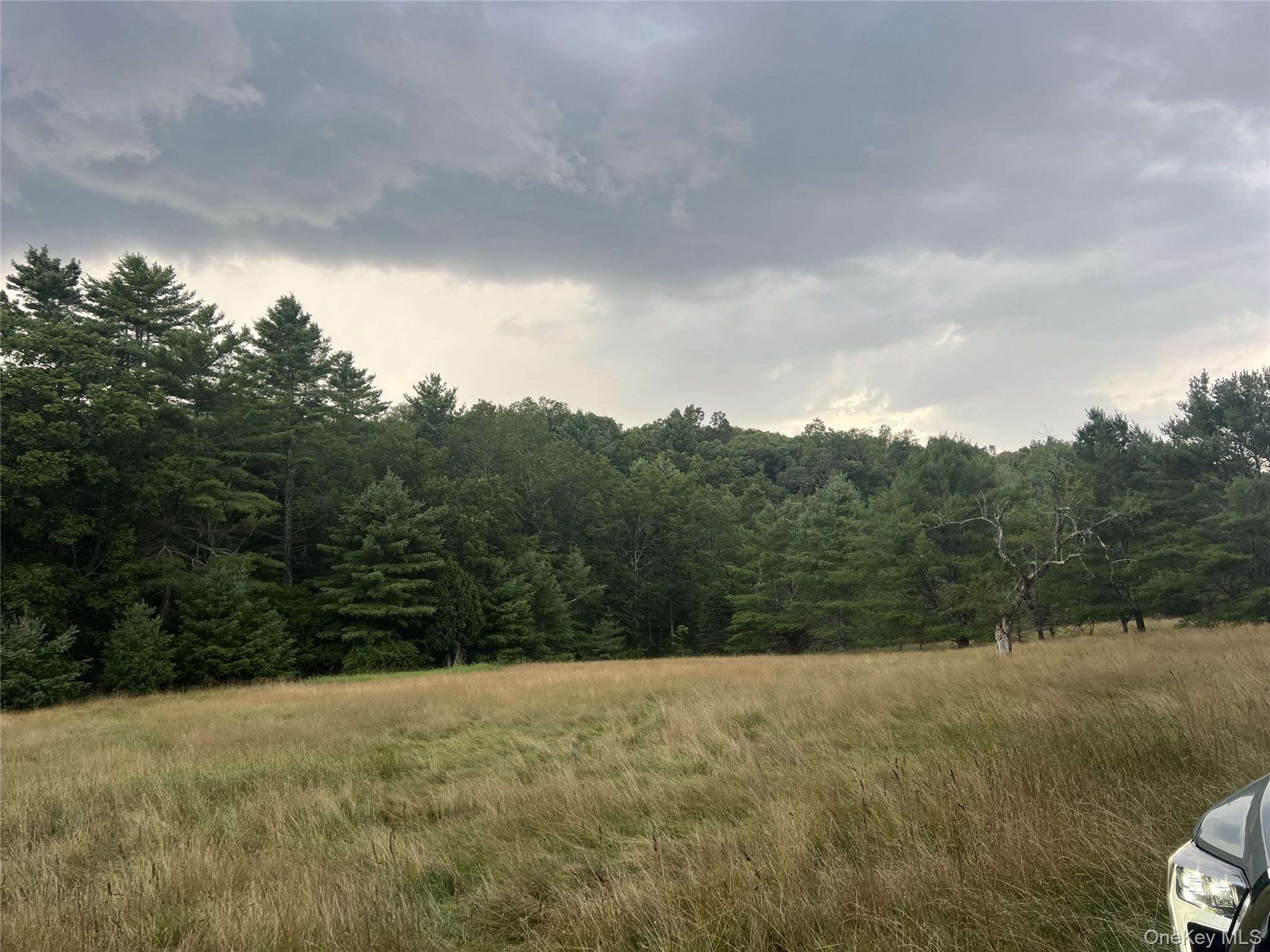 #5 photo, 259 Lackawaxen Road, Narrowsburg , NY 12764