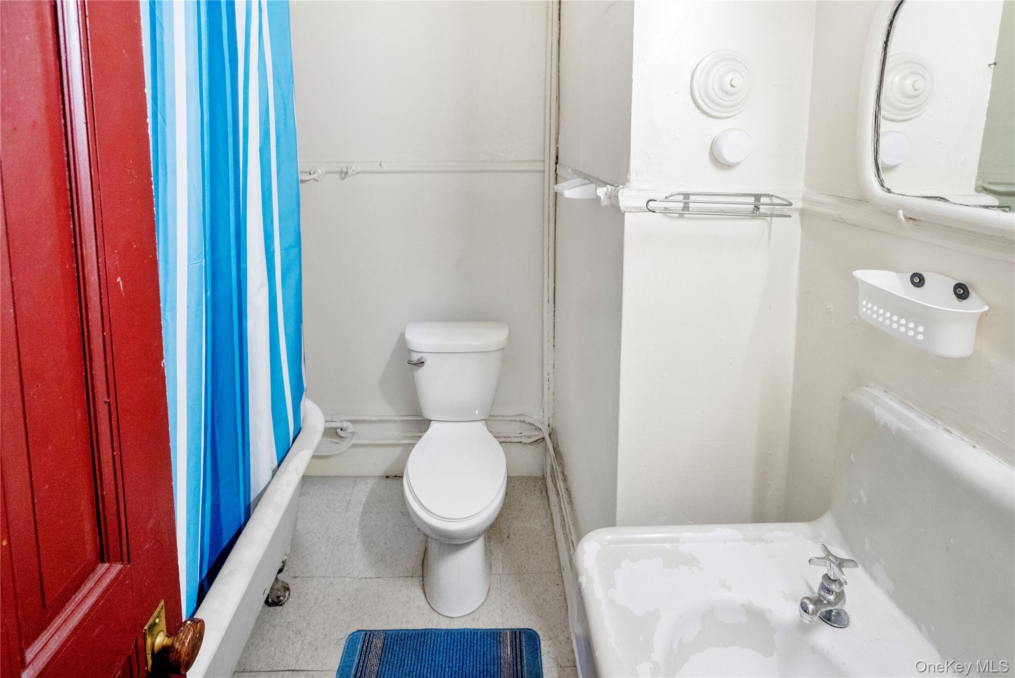 #11 photo, 113 Halsey Street, ブルックリン区 Brooklyn , NY 11216