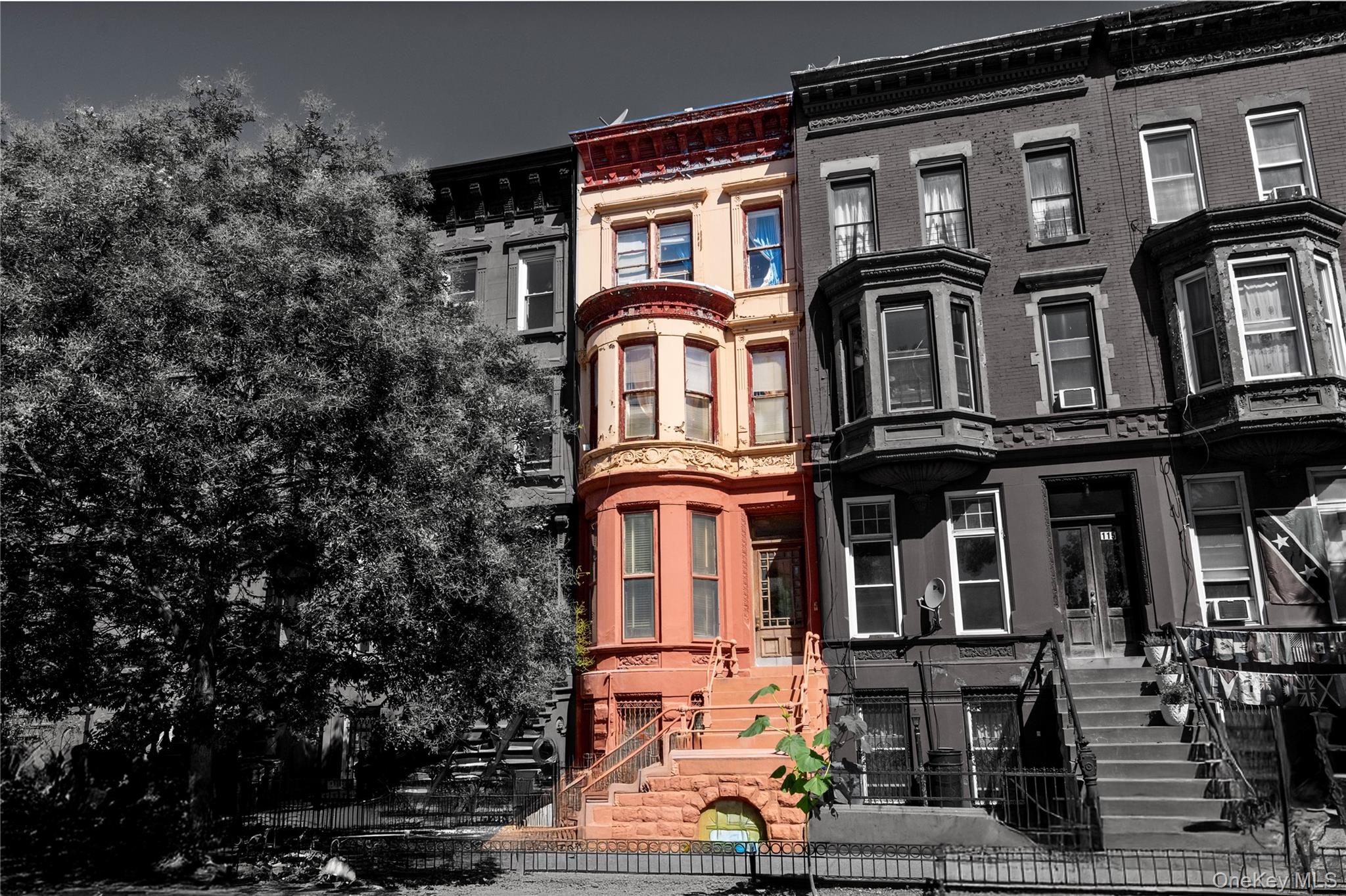 #2 photo, 113 Halsey Street, ブルックリン区 Brooklyn , NY 11216