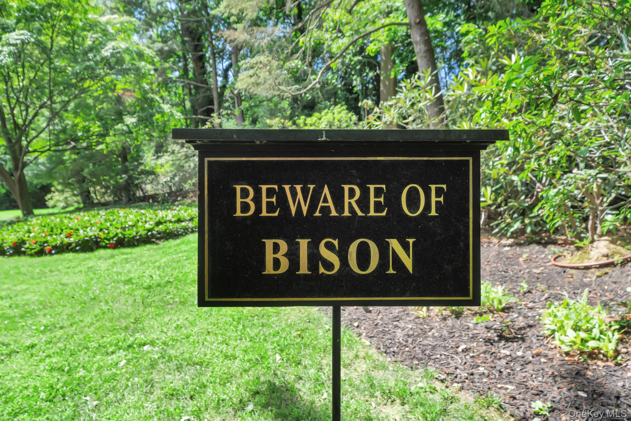 #4 photo, 95 Piping Rock Road, ナッソー郡 Locust Valley , NY 11560