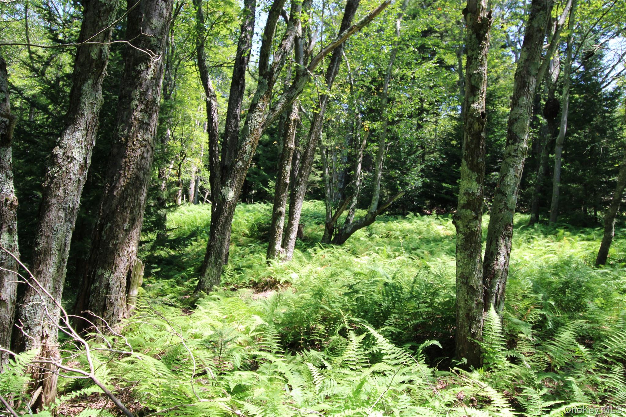 #17 photo, 834 Cooley Road, Parksville , NY 12768