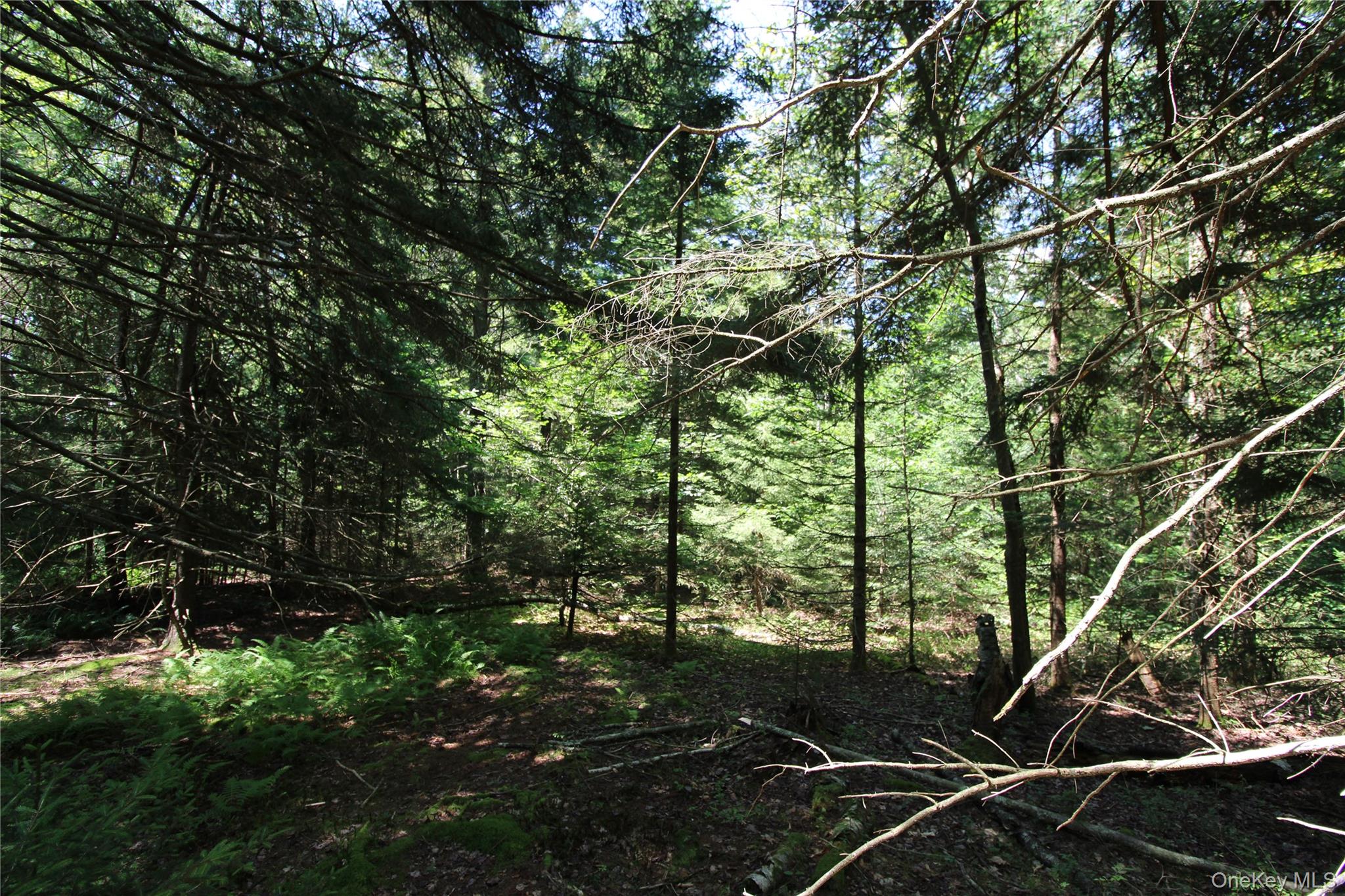 #18 photo, 834 Cooley Road, Parksville , NY 12768